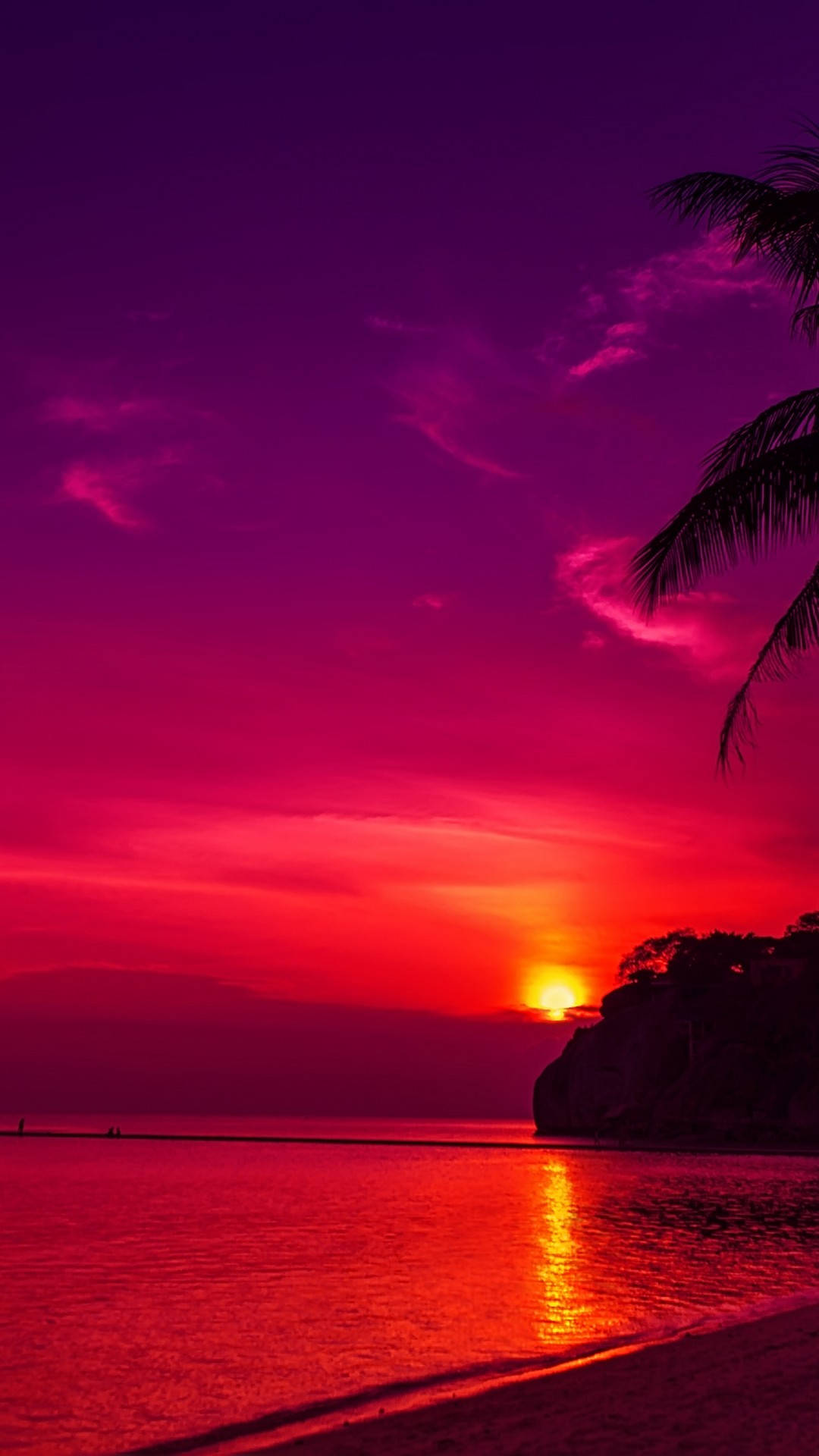 夕陽天空 桌布 壁紙 — 熾熱的夕陽將天空和海洋染成鮮豔的洋紅色和深紅色，棕櫚葉框住了地平線。