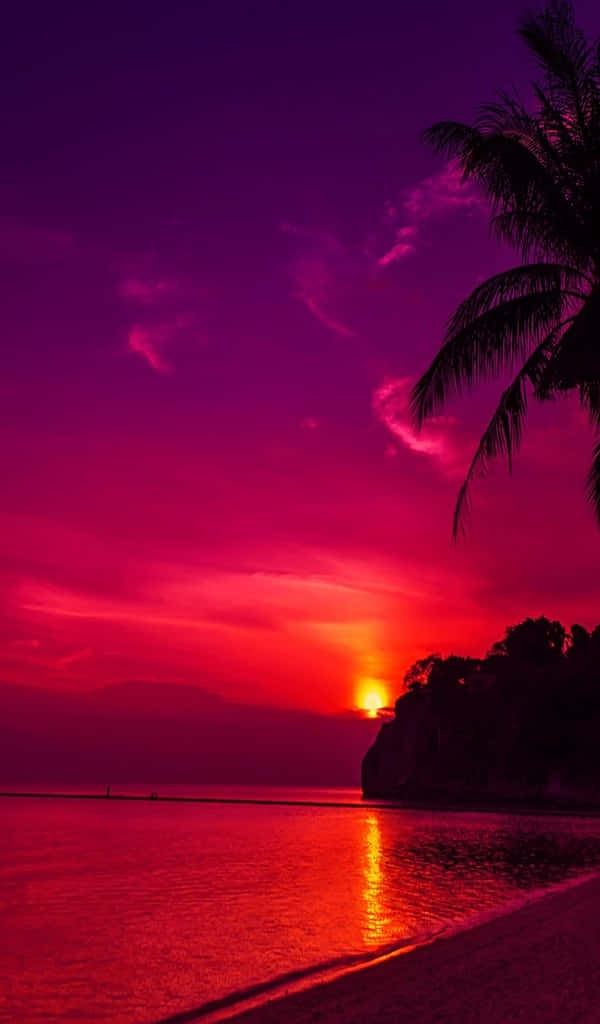 600x1024 桌布 壁紙 — 熾熱的夕陽將天空和海洋染成鮮豔的洋紅色和深紅色，棕櫚樹在地平線上形成剪影。