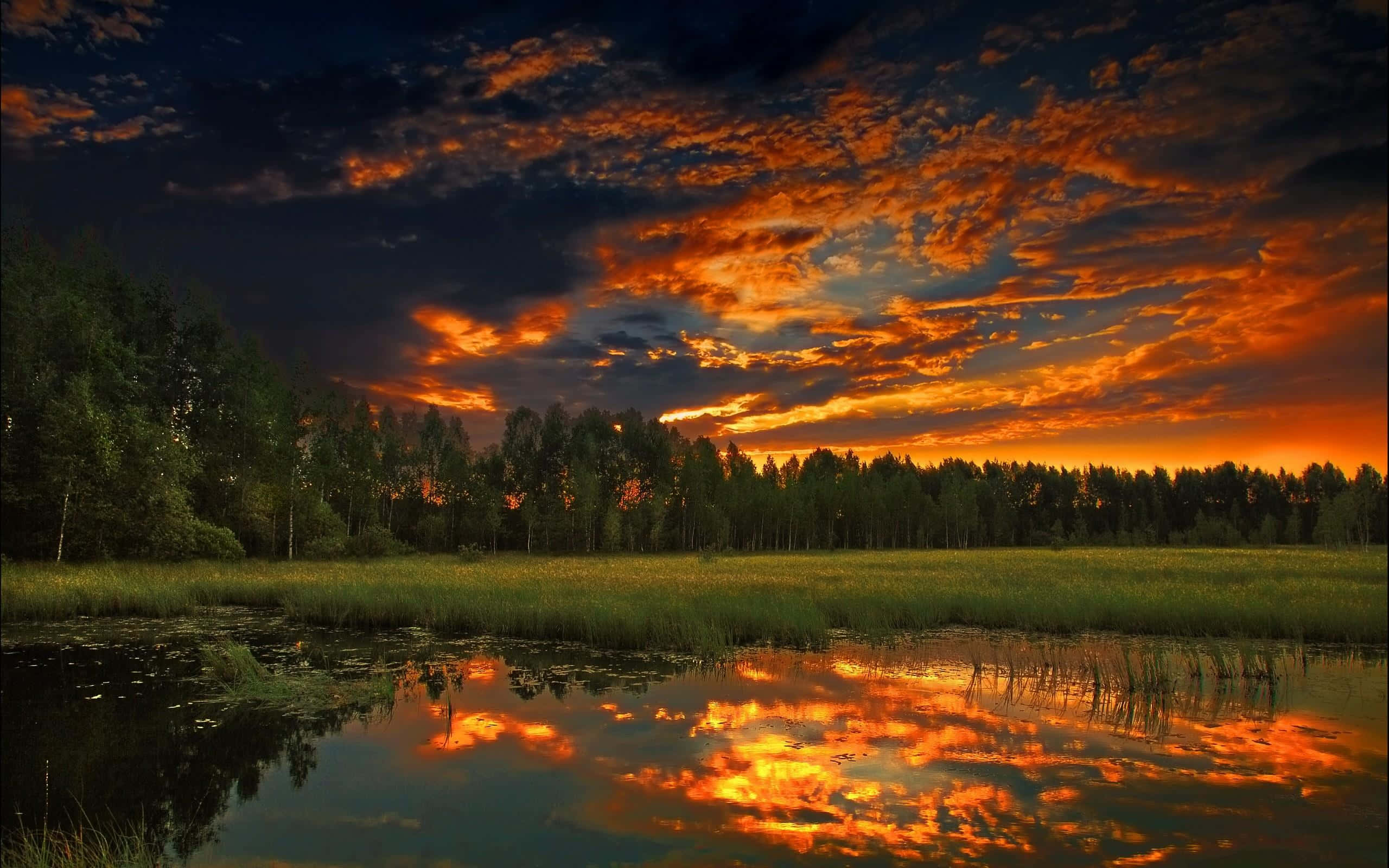 Sunset Reflection 桌布 壁紙 — 熾熱的夕陽將天空染成橙色和紅色，完美地倒映在樹木和草地環繞的寧靜池塘中。