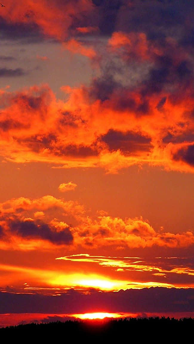 Clouds Aesthetics 桌布 壁紙 — 熾熱的夕陽將天空染成鮮豔的橙色和紅色，雲朵在黑暗的樹線上發光。