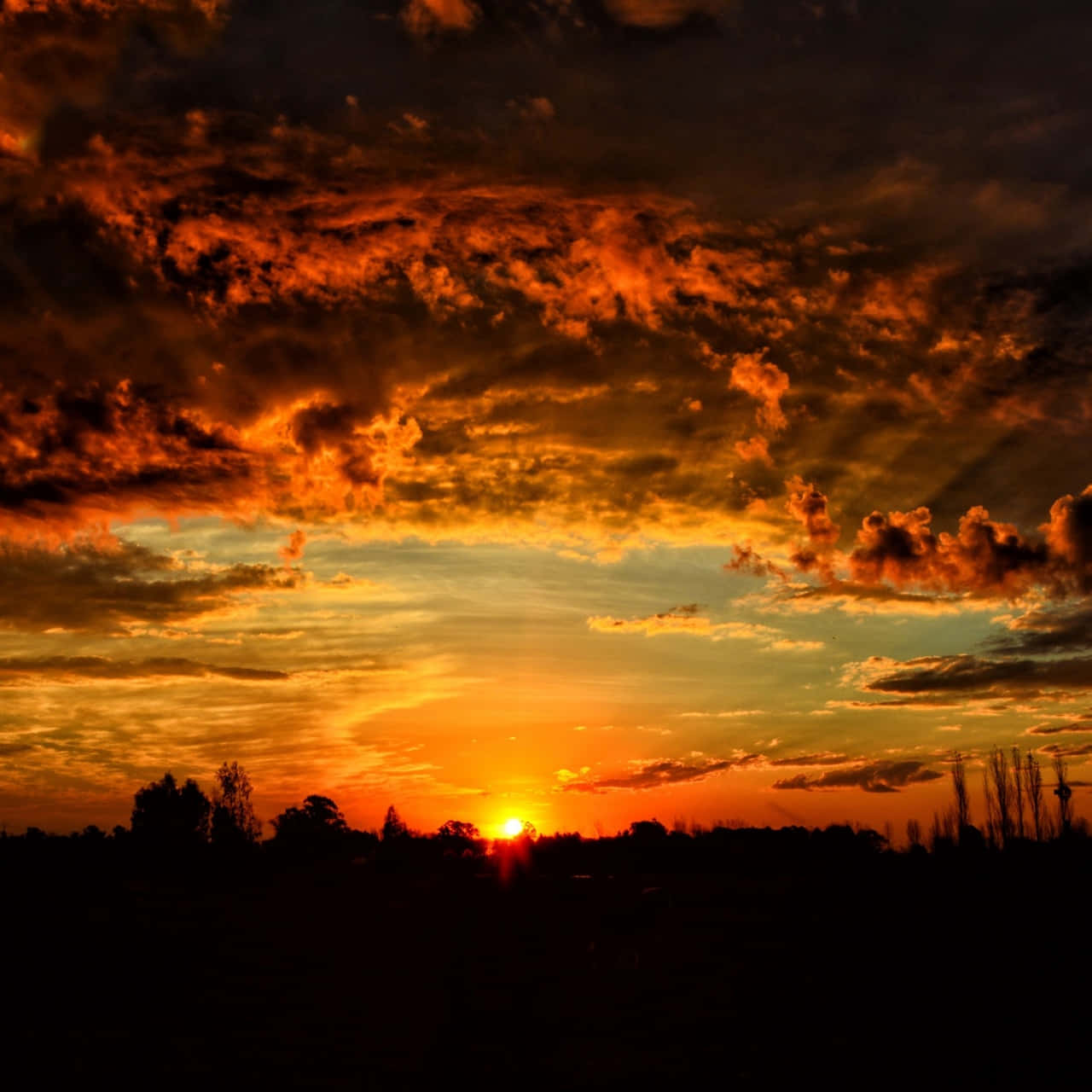 Clouds Aesthetics 桌布 壁紙 — 熾熱的夕陽將天空染成鮮豔的橙色和紅色，雲朵在黑暗的樹木剪影上方發光。