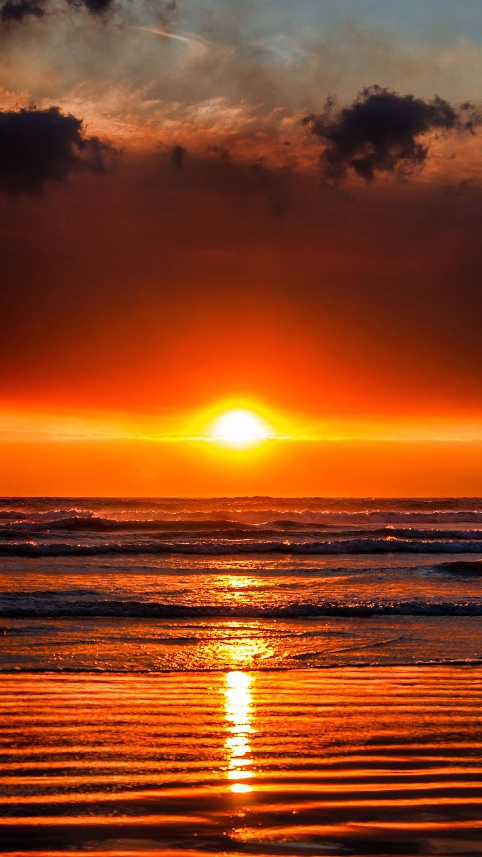 夕陽天空 桌布 壁紙 — 熾熱的夕陽將海洋和天空染成鮮豔的橙色和紅色，海浪拍打著濕漉漉的沙灘。