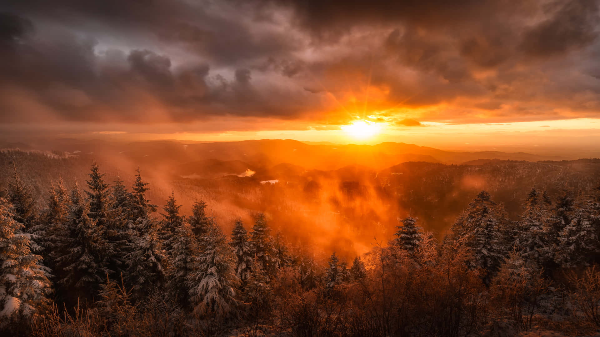 Horizon 桌布 壁紙 — 熾熱的夕陽穿過暴風雲照耀在白雪覆蓋的松樹林山谷上。