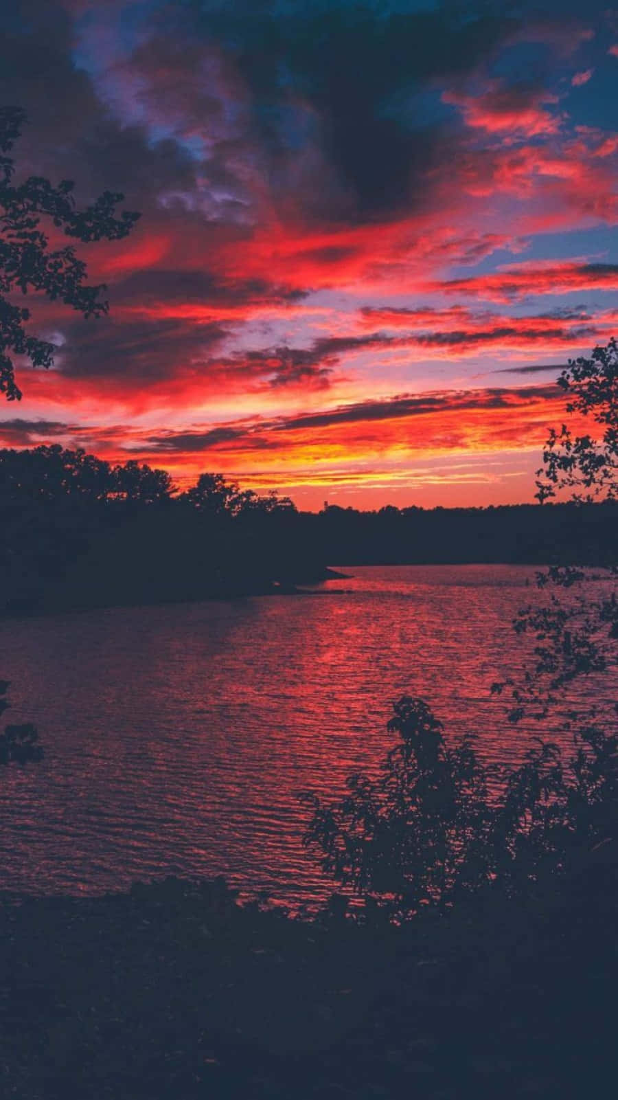 Sunset Photography 桌布 壁紙 — 熾熱的日落將天空染成鮮豔的紅色和紫色，倒映在平靜的湖面上，四周環繞著黑暗的樹木剪影。