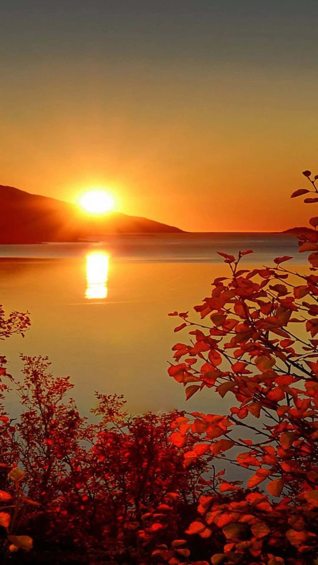 Beautiful Fall iPhone 桌布 壁紙 — 熾熱的日落照耀在平靜的湖面上，前景有剪影般的山丘和鮮豔的紅色秋葉。
