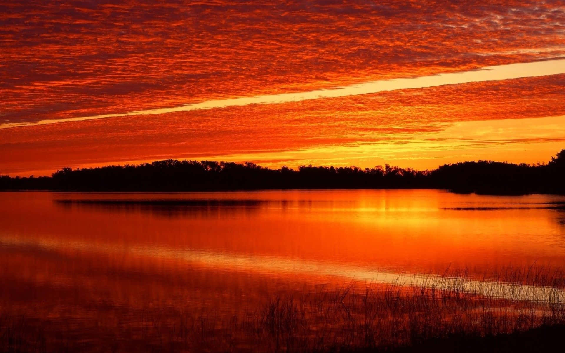 Orange Sunset 桌布 壁紙 — 熾熱的橙色夕陽染紅了天空，並清晰地倒映在平靜的湖面上，地平線上有樹木的剪影。