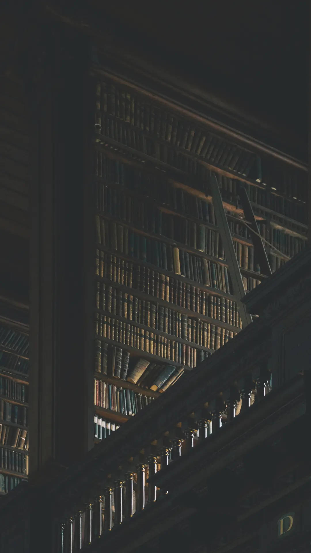 建築 桌布 壁紙 — 燈光昏暗的圖書館，高聳的木書架上放滿了舊書，還有一把梯子靠在上面。