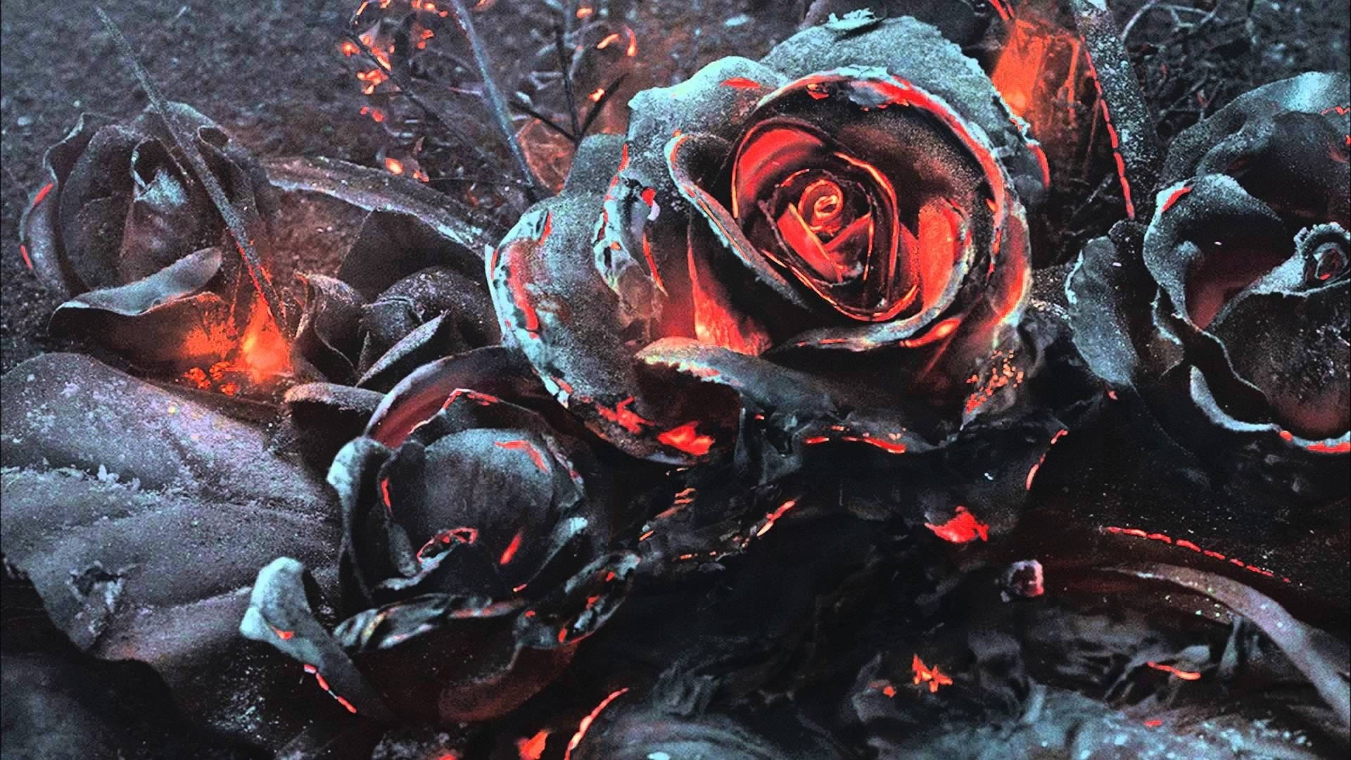 Roses Desktop 桌布 壁紙 — 燒焦的玫瑰在黑暗的灰燼覆蓋的地面上散發出熔化的紅光。