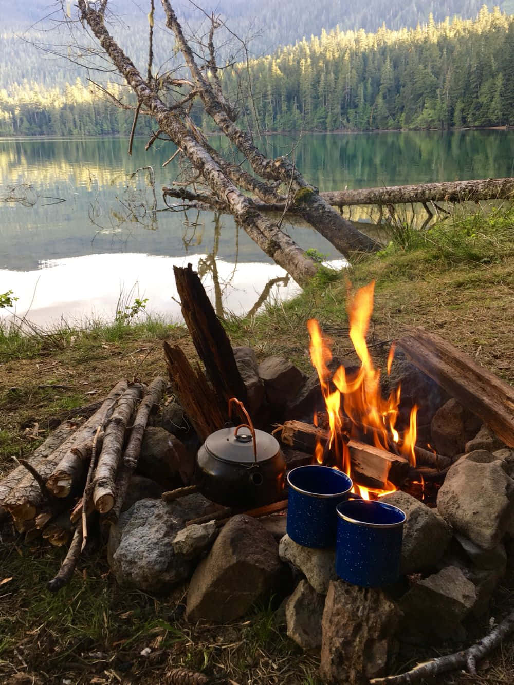 Minimalist Camping 桌布 壁紙 — 營火在寧靜的湖邊劈啪作響，旁邊放著水壺和藍色杯子，背景是倒下的樹木和森林覆蓋的山丘。