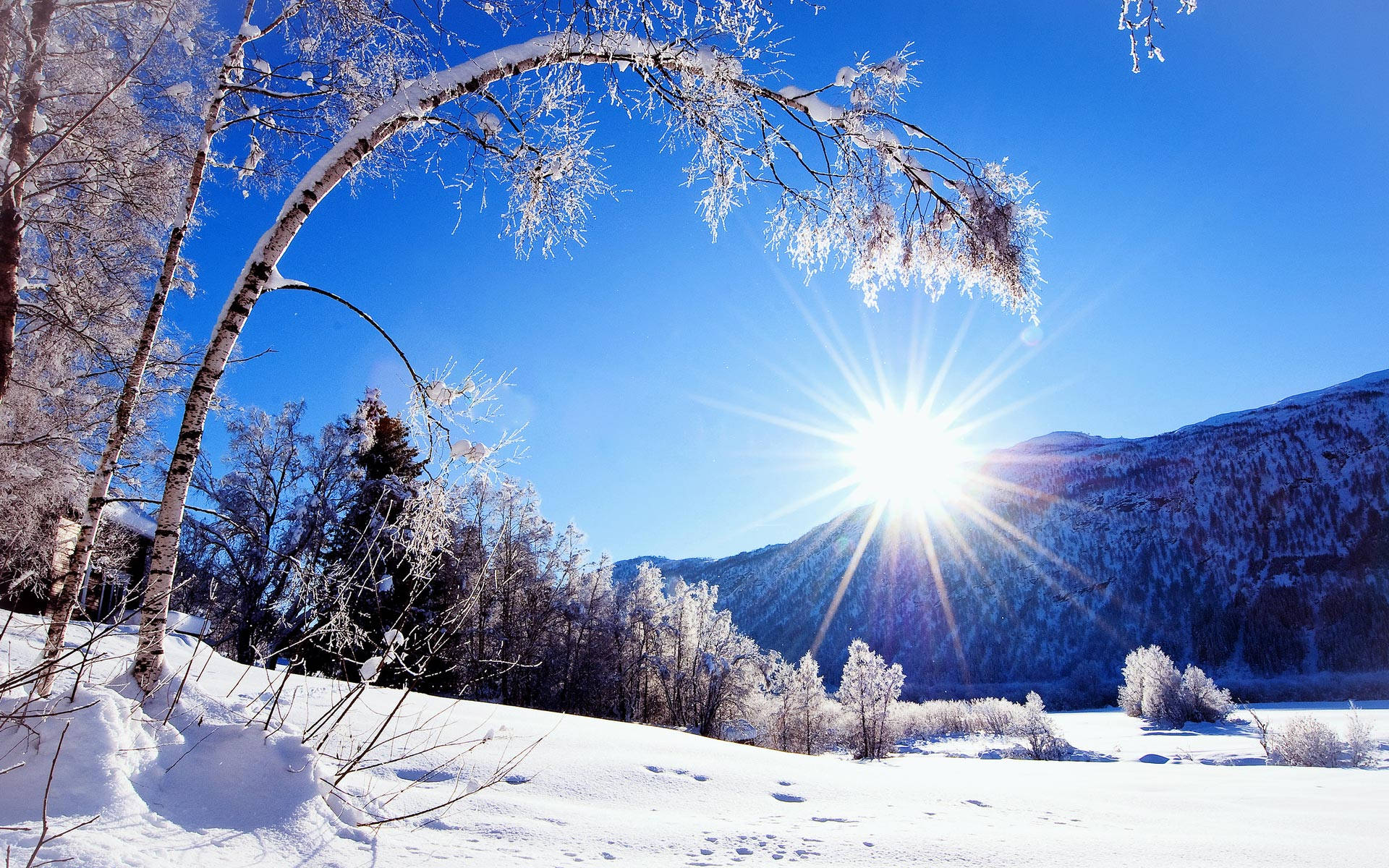 山景 桌布 壁紙 — 燦爛的冬日陽光穿過結霜的白樺樹枝，映襯著白雪覆蓋的山脈上清澈的藍天。