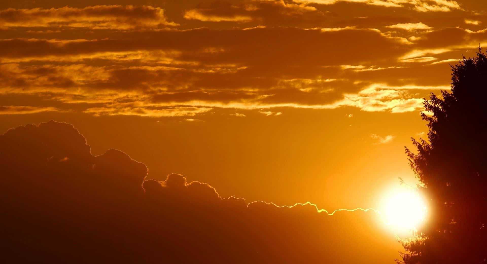 太陽 桌布 壁紙 — 燦爛的夕陽將天空染成火熱的橙色，太陽在剪影般的雲朵和樹枝後落下。