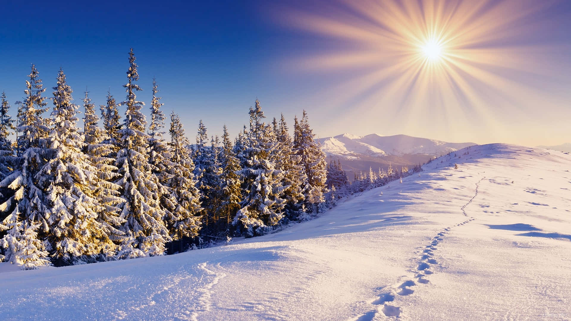 1920x1080 Winter 桌布 壁紙 — 燦爛的太陽在白雪覆蓋的松樹和蜿蜒的小徑上灑下金色的光芒，營造出寧靜的冬季山景。