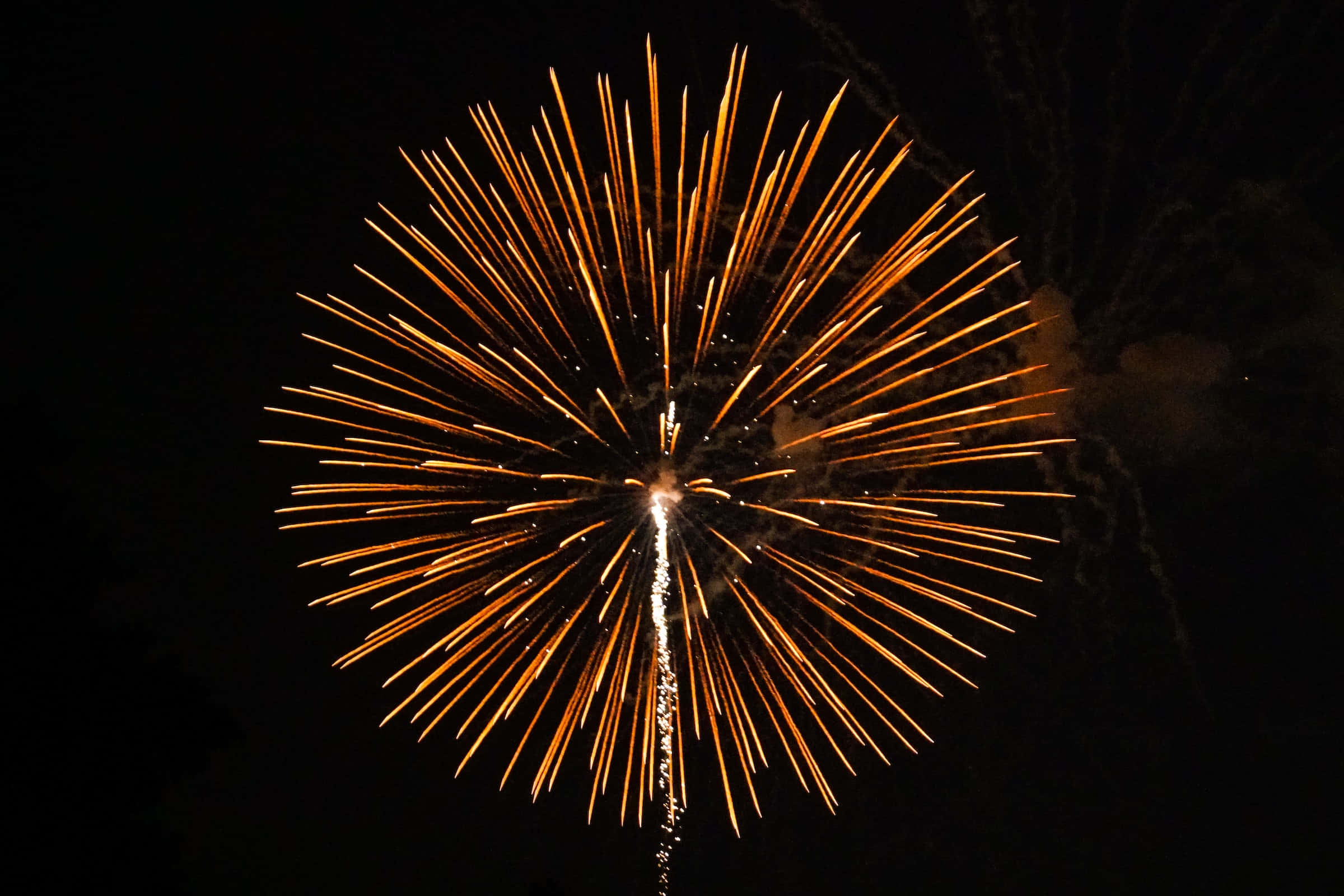 sparks 桌布 壁紙 — 燦爛的金色煙火在漆黑的夜空中綻放出耀眼的光芒。