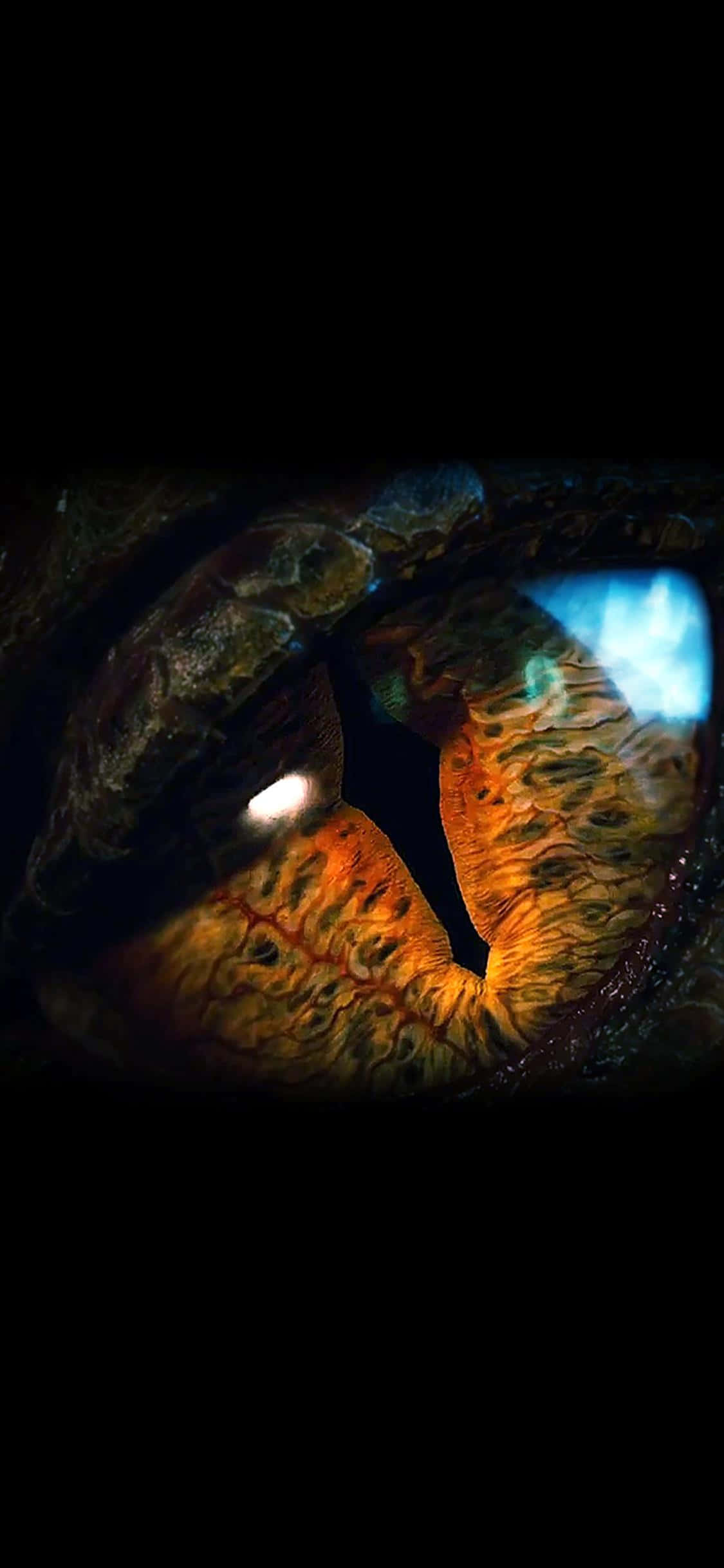 iPhone Xs Dragon Age Inquisition 桌布 壁紙 — 爬行動物眼睛的特寫，在黑暗背景下閃爍著火橙色和冷藍色的反射。