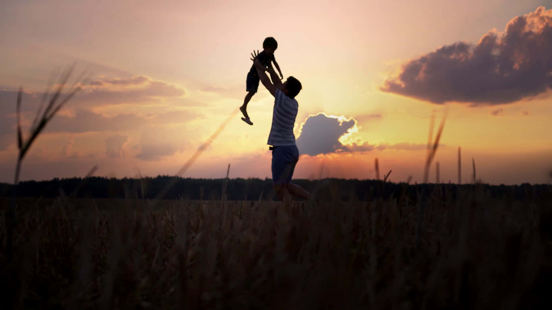Father And Son 桌布 壁紙 — 父親在金色田野上溫暖的日落天空下，高興地將孩子拋向空中。