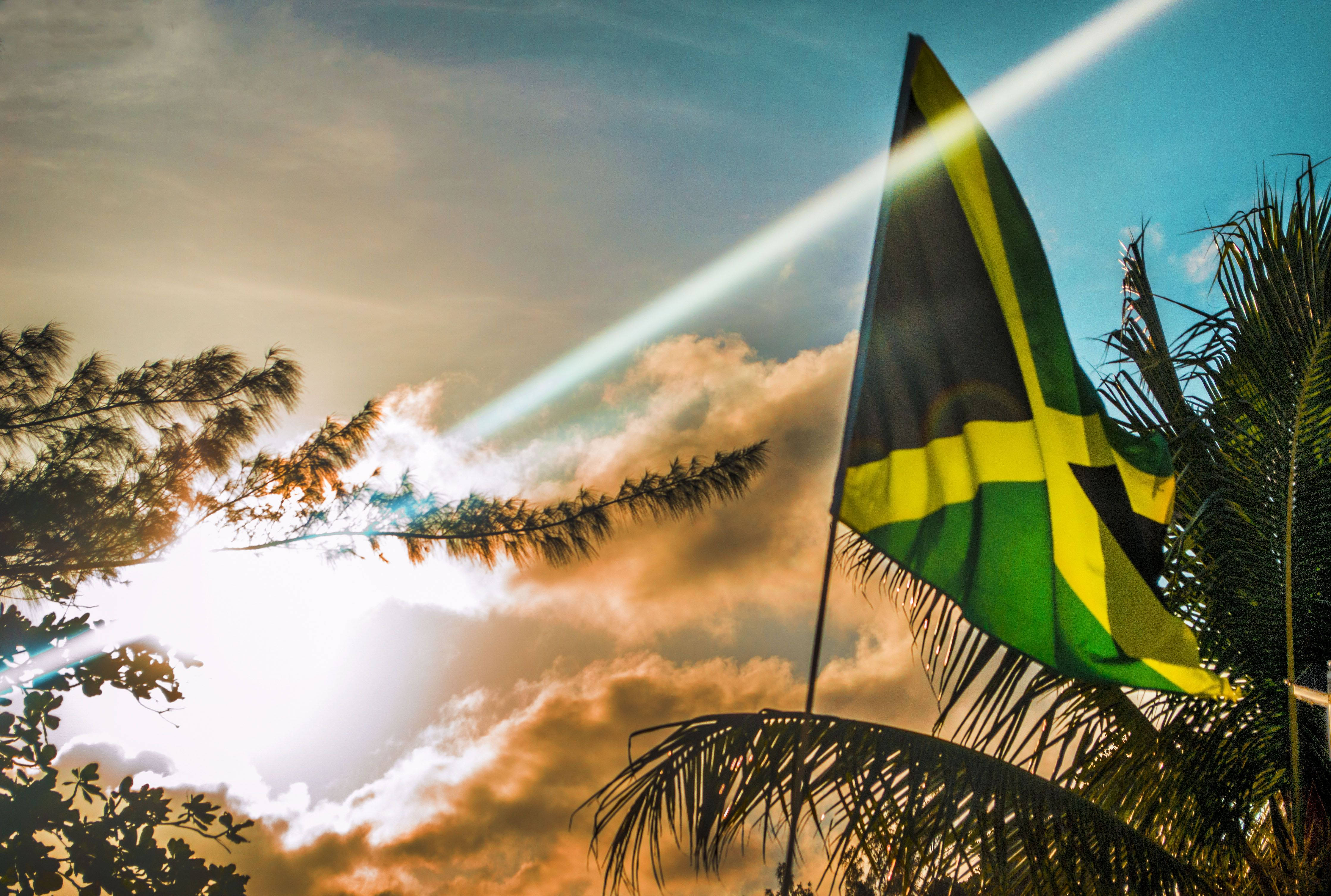 Jamaica 桌布 壁紙 — 牙買加國旗在充滿活力的日落天空下自豪地飄揚，周圍環繞著棕櫚葉和陽光。
