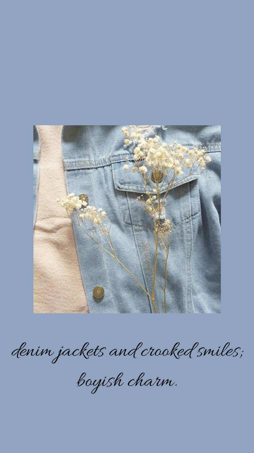 Denim 桌布 壁紙 — 牛仔外套口袋裡放著精緻的乾燥滿天星，背景是柔和的藍色。