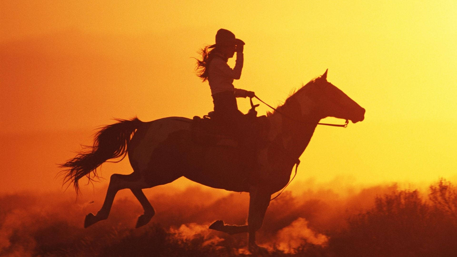 Cowgirl 桌布 壁紙 — 牛仔騎著奔騰的馬匹，在熾熱的橙色日落天空下的剪影。