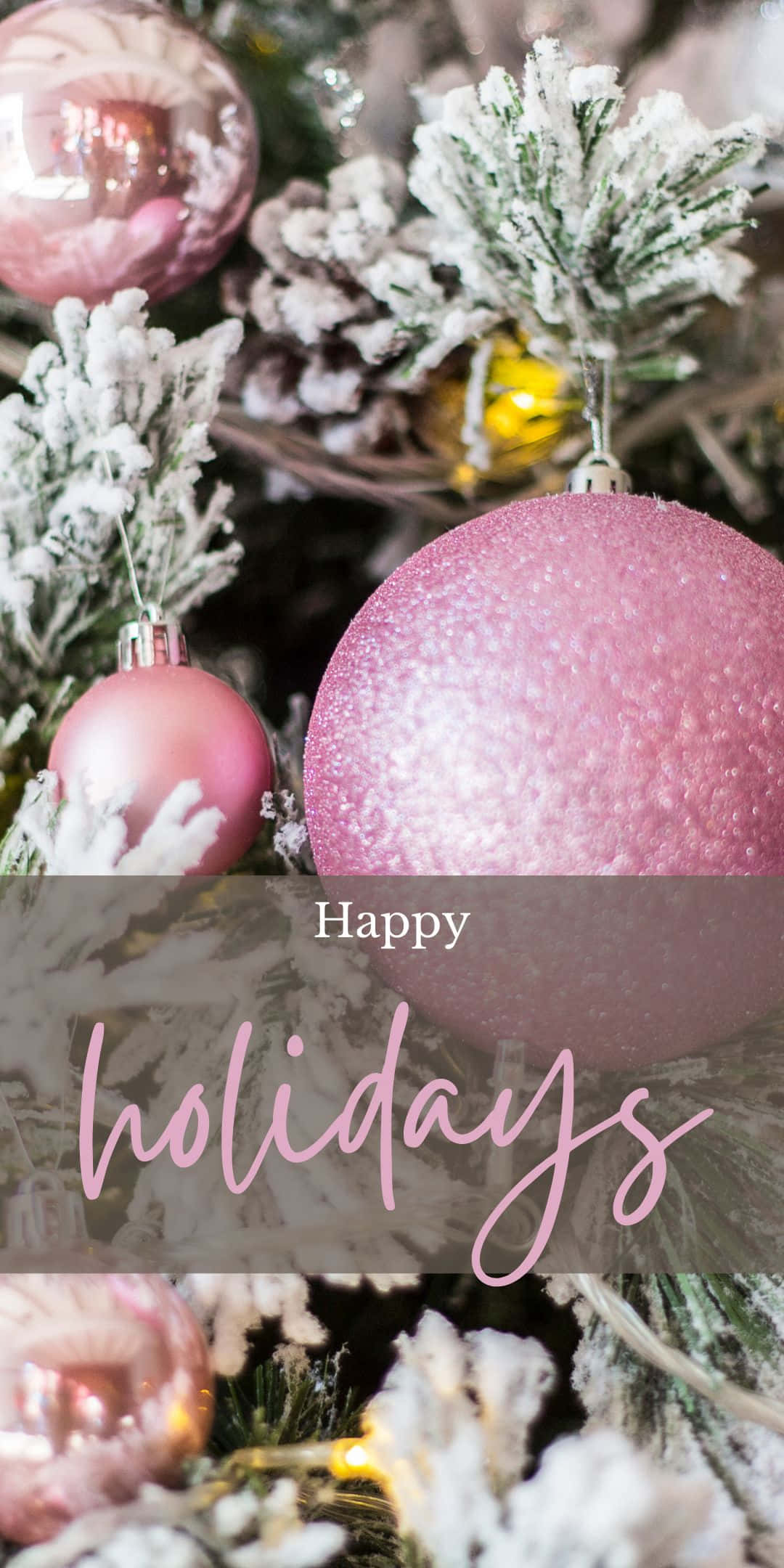 pink christmas 桌布 壁紙 — 特寫：聖誕樹上粉紅色閃亮裝飾品和結霜松枝，伴以溫暖的仙女燈。