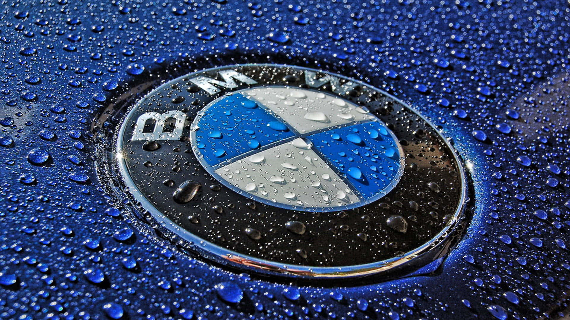 Bmw Logo 桌布 壁紙 — 特寫：藍色汽車引擎蓋上的BMW標誌，在明亮光線下閃爍著雨滴。