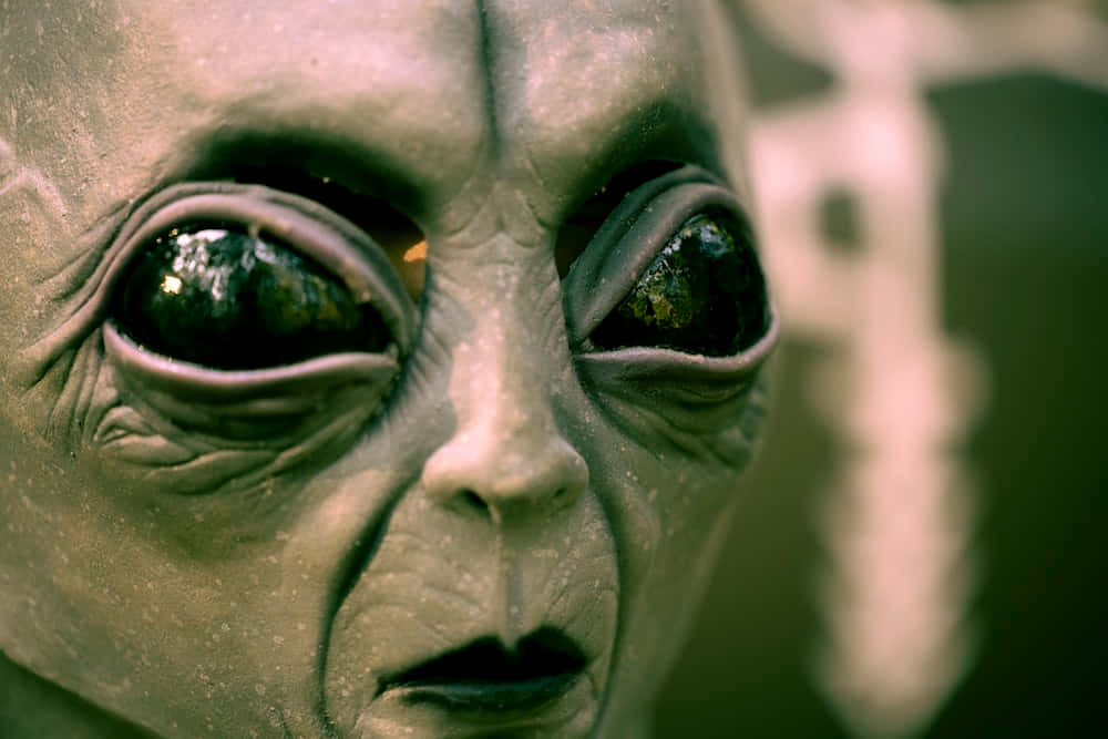 恐怖動圖 桌布 壁紙 — 特寫一個蒼白的外星人面孔，有著大而反光的眼睛和皺紋皮膚，背景是模糊的綠色。