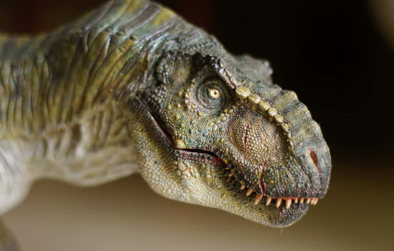 Realistic Dinosaur 桌布 壁紙 — 特寫一個逼真紋理的恐龍頭部，帶有鋒利牙齒和強烈眼神，背景模糊。