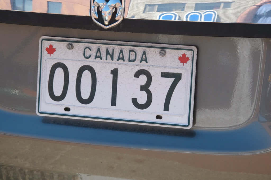 Car License Plate 桌布 壁紙 — 特寫一個風化的加拿大車牌，號碼00137，安裝在藍色汽車保險桿上。