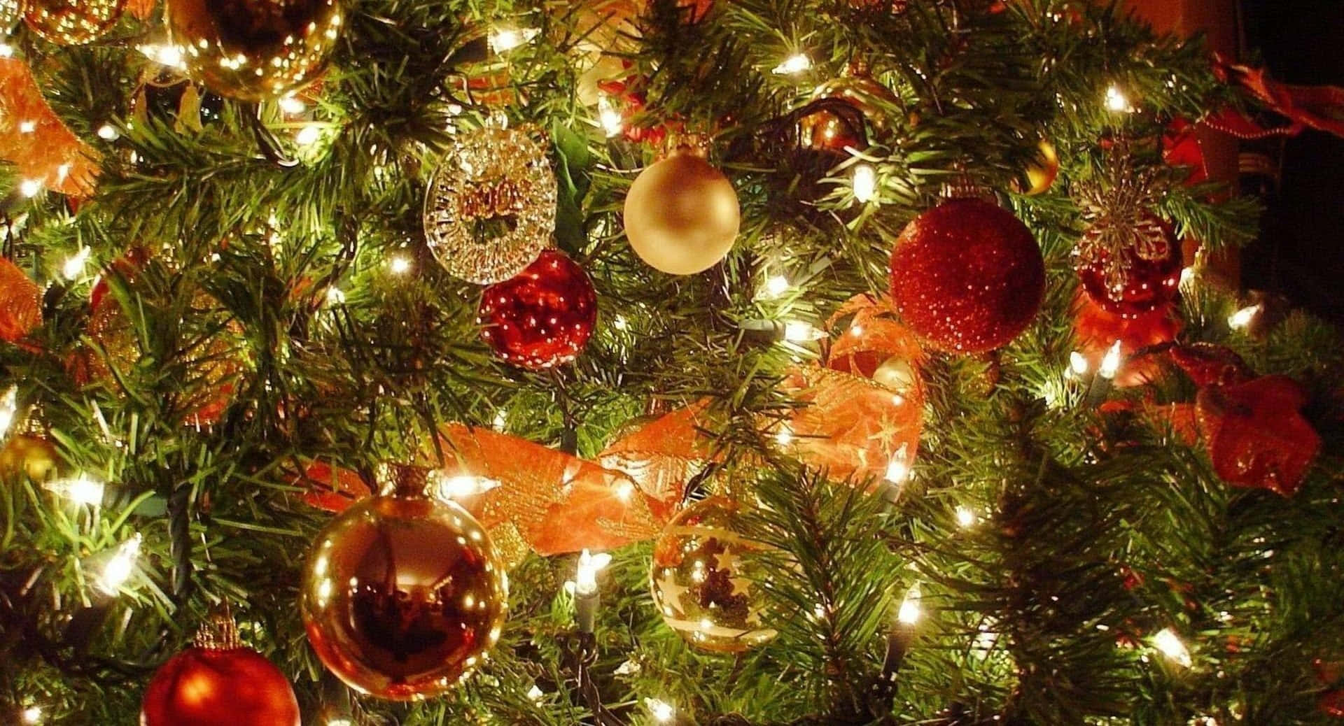 美學 桌布 壁紙 — 特寫一棵溫暖照明的聖誕樹，裝飾著紅色、金色和銀色的飾物以及閃爍的仙女燈。