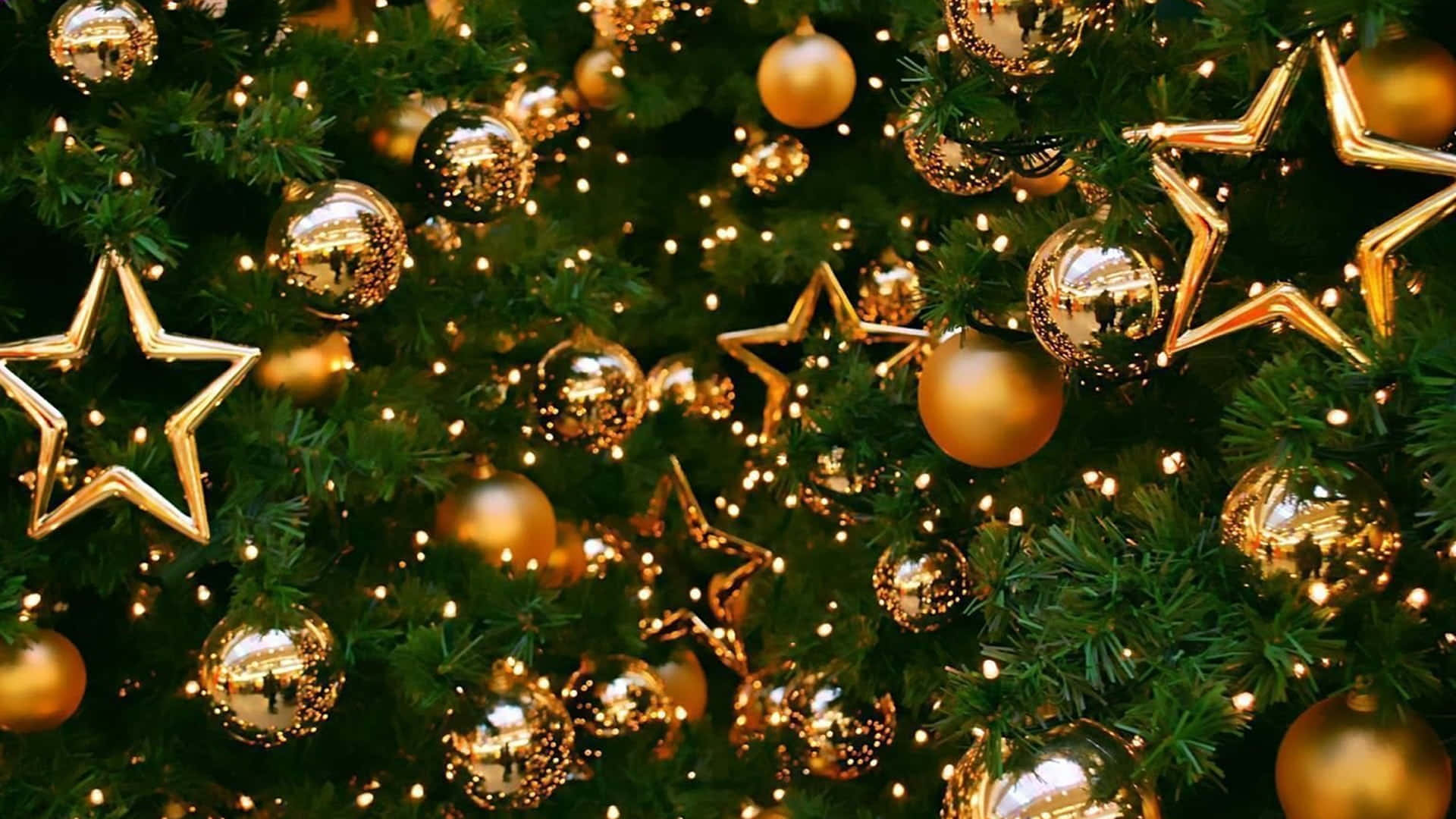 Gold Christmas 桌布 壁紙 — 特寫一棵茂盛的綠色聖誕樹，裝飾著閃爍的金色飾物和閃爍的仙女燈。