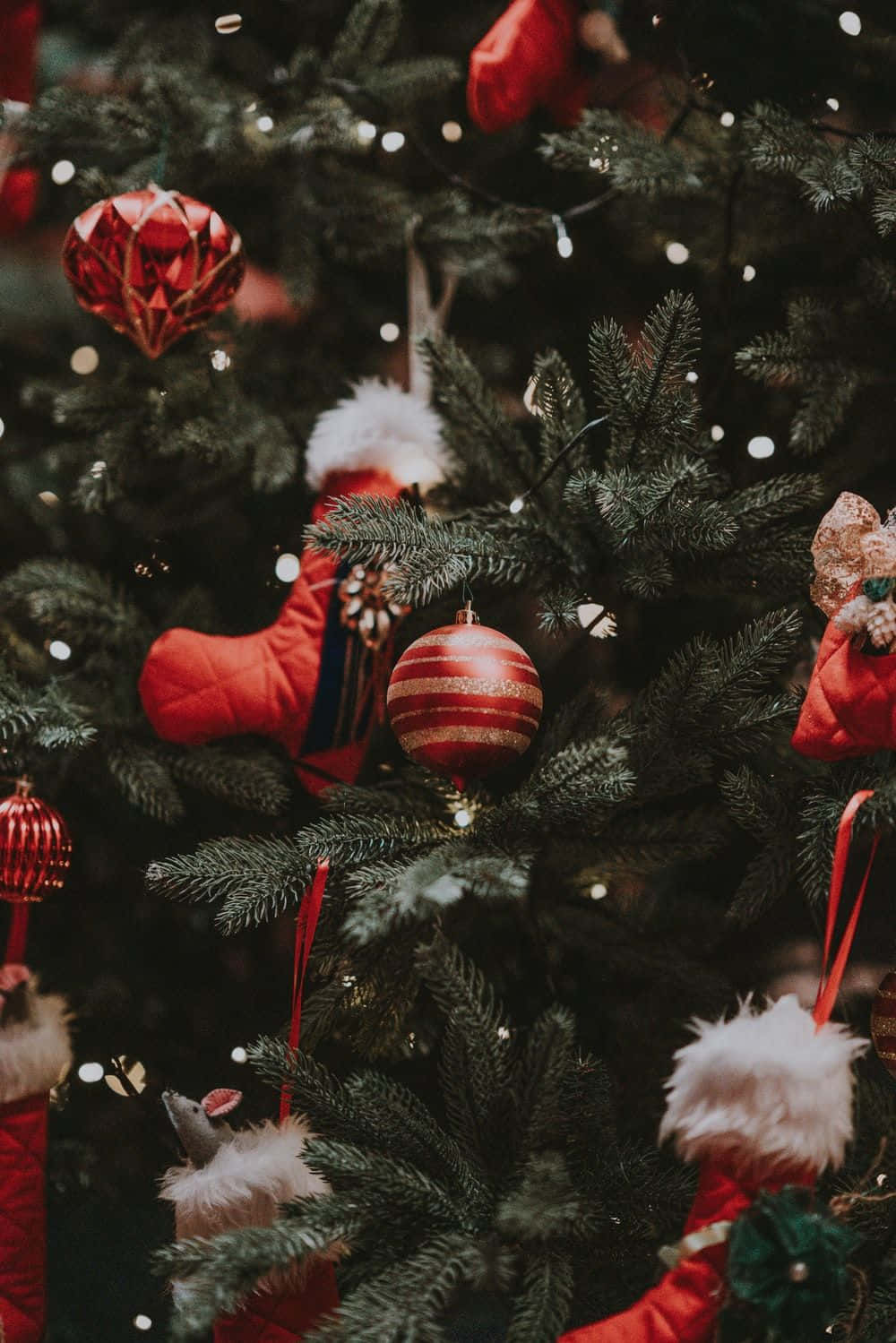 Aesthetic Christmas Tree 桌布 壁紙 — 特寫一棵茂盛的綠色聖誕樹，裝飾著紅色飾物和蓬鬆的長襪，在溫暖的仙女燈光下閃閃發光。