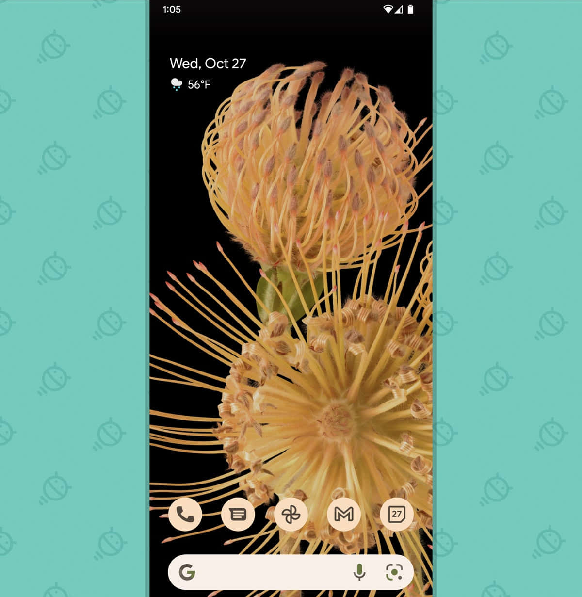 Tricky Lock Screen 桌布 壁紙 — 特寫兩朵金色帝王花，花瓣帶刺，襯托黑色背景，顯示在手機螢幕上。