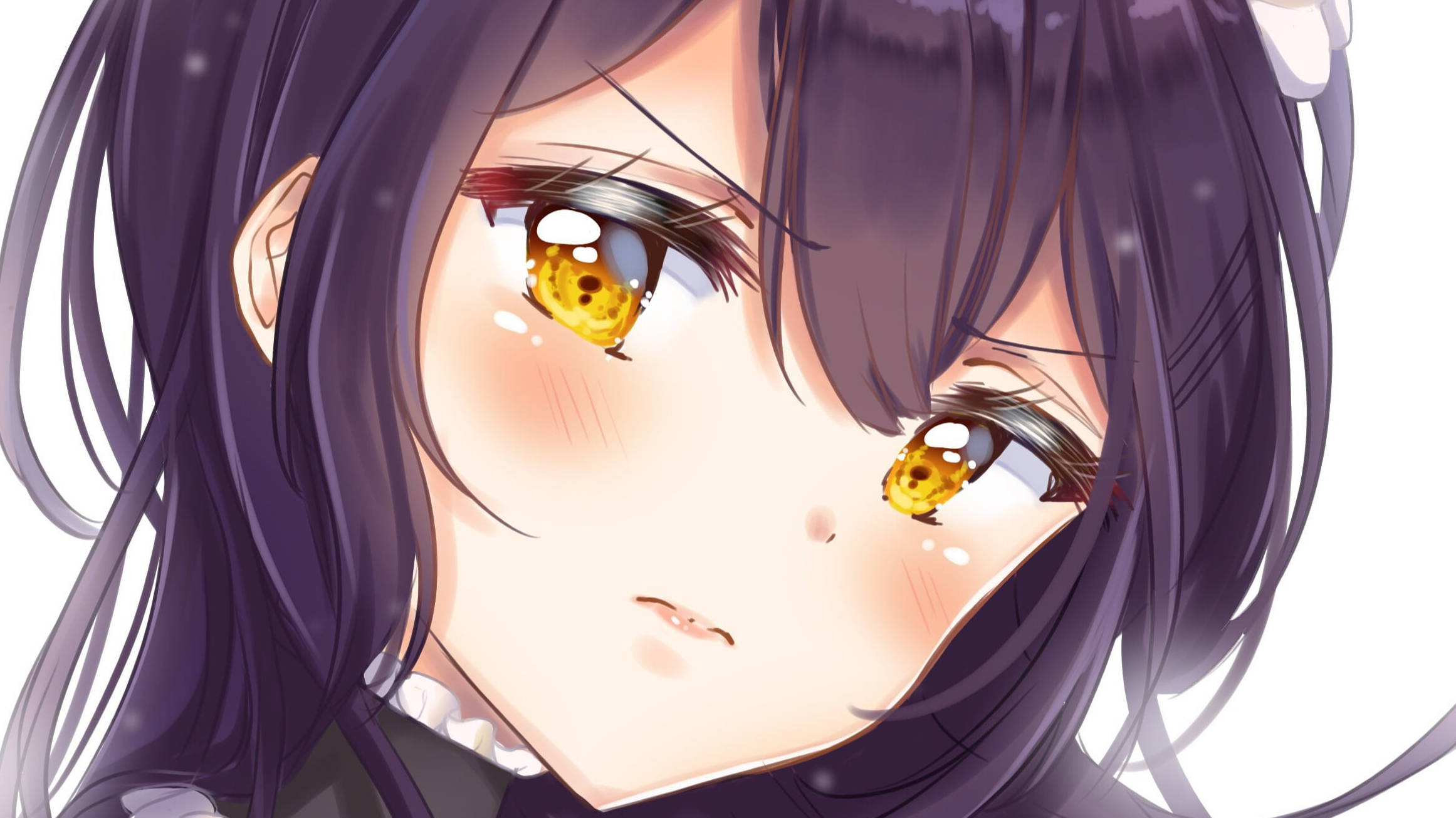 Maid Sama 桌布 壁紙 — 特寫動漫女孩，紫色頭髮，金色眼睛，在明亮的白色背景下微微臉紅。