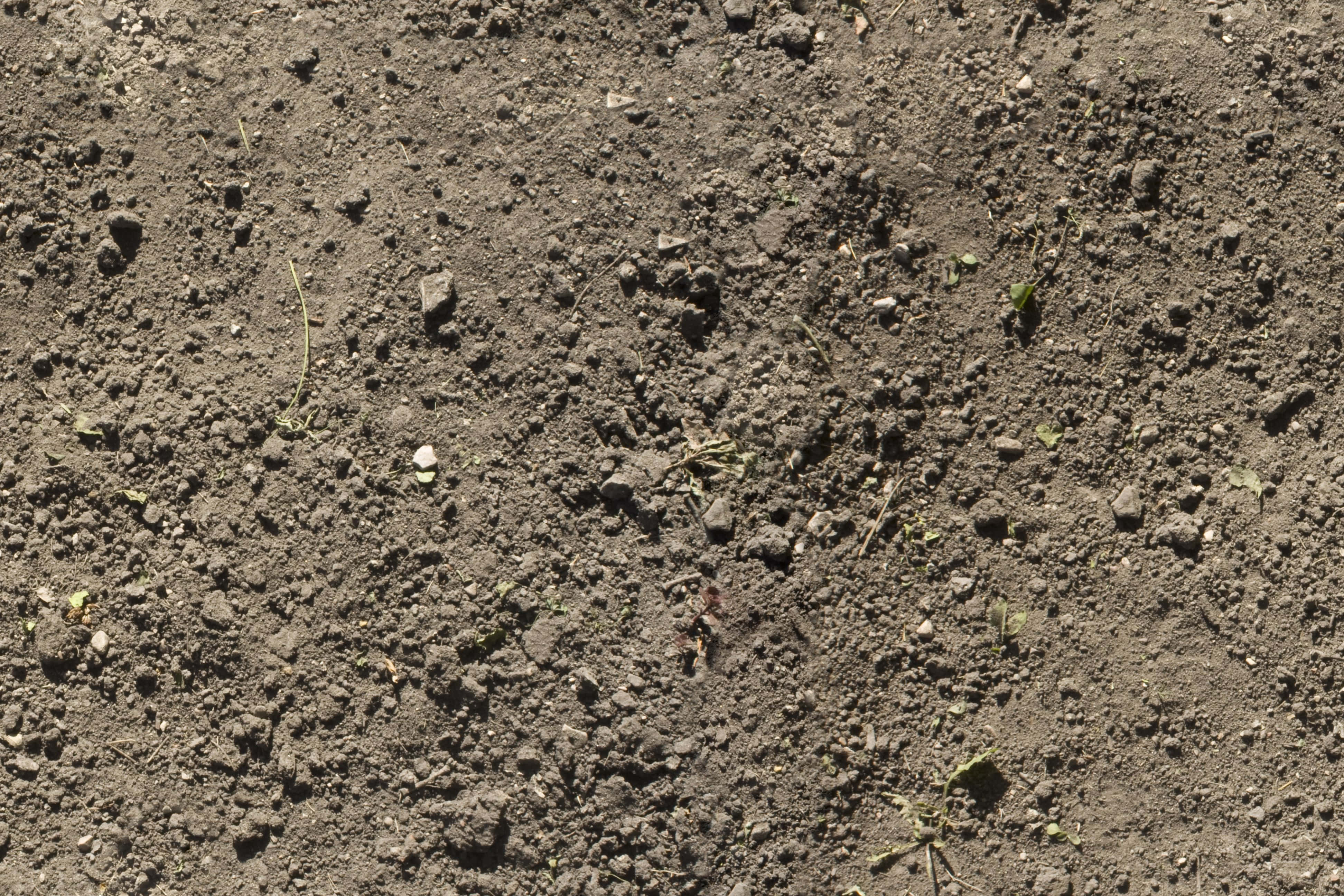 Dirt 桌布 壁紙 — 特寫粗糙的深色土壤，散落著小石塊和稀疏的綠色嫩芽，在明亮的陽光下。