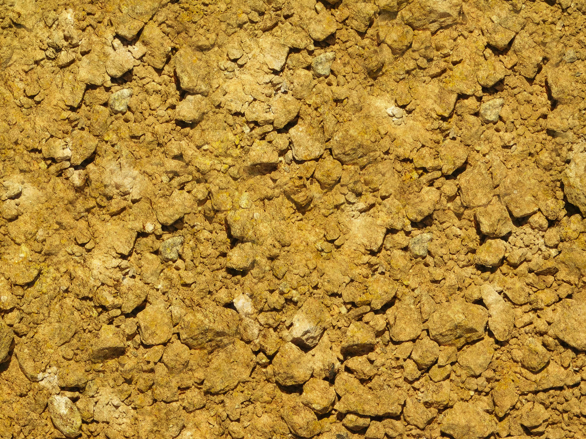 Earth texture 壁紙 — 特寫粗糙紋理的泥土，散落小石塊和淡黃色土壤，在明亮陽光下。