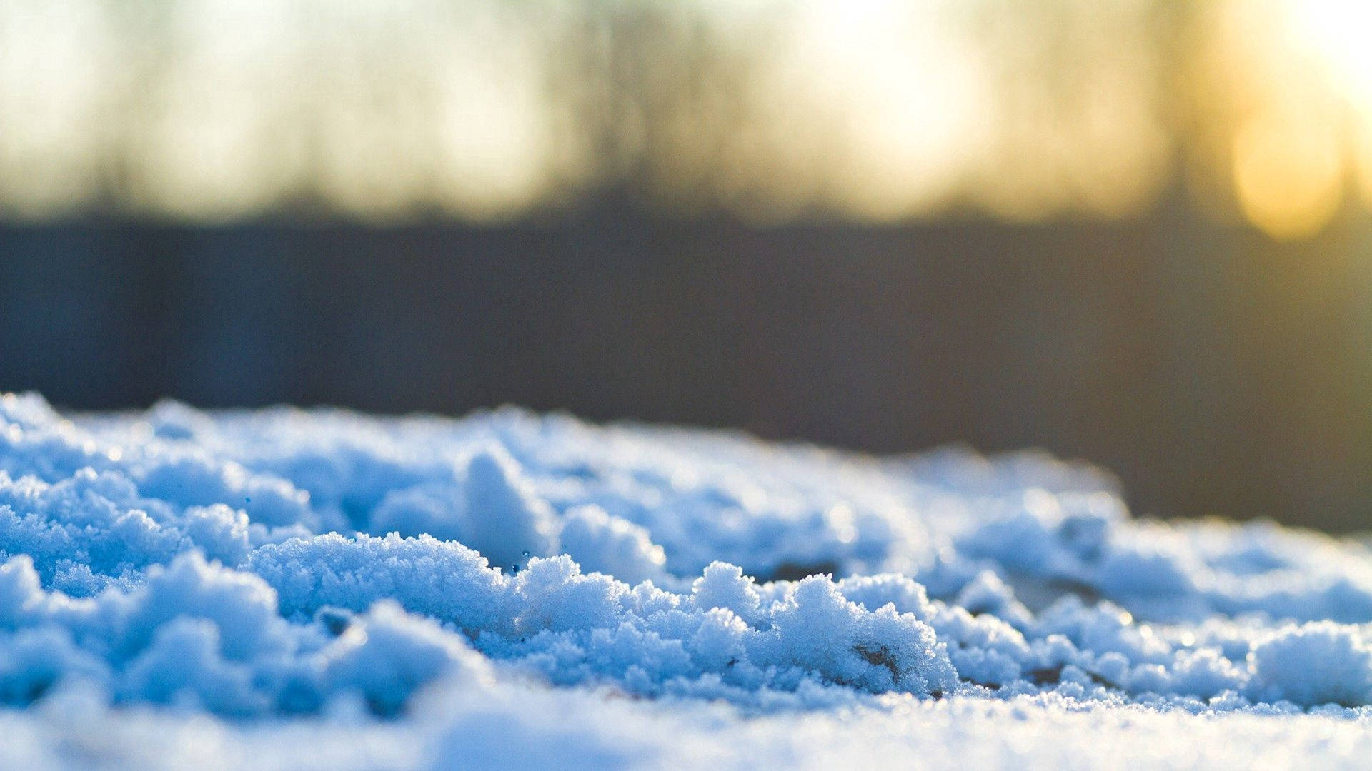 雪 桌布 壁紙 — 特寫紋理雪地在溫暖金色陽光下閃爍，背景有模糊樹木。