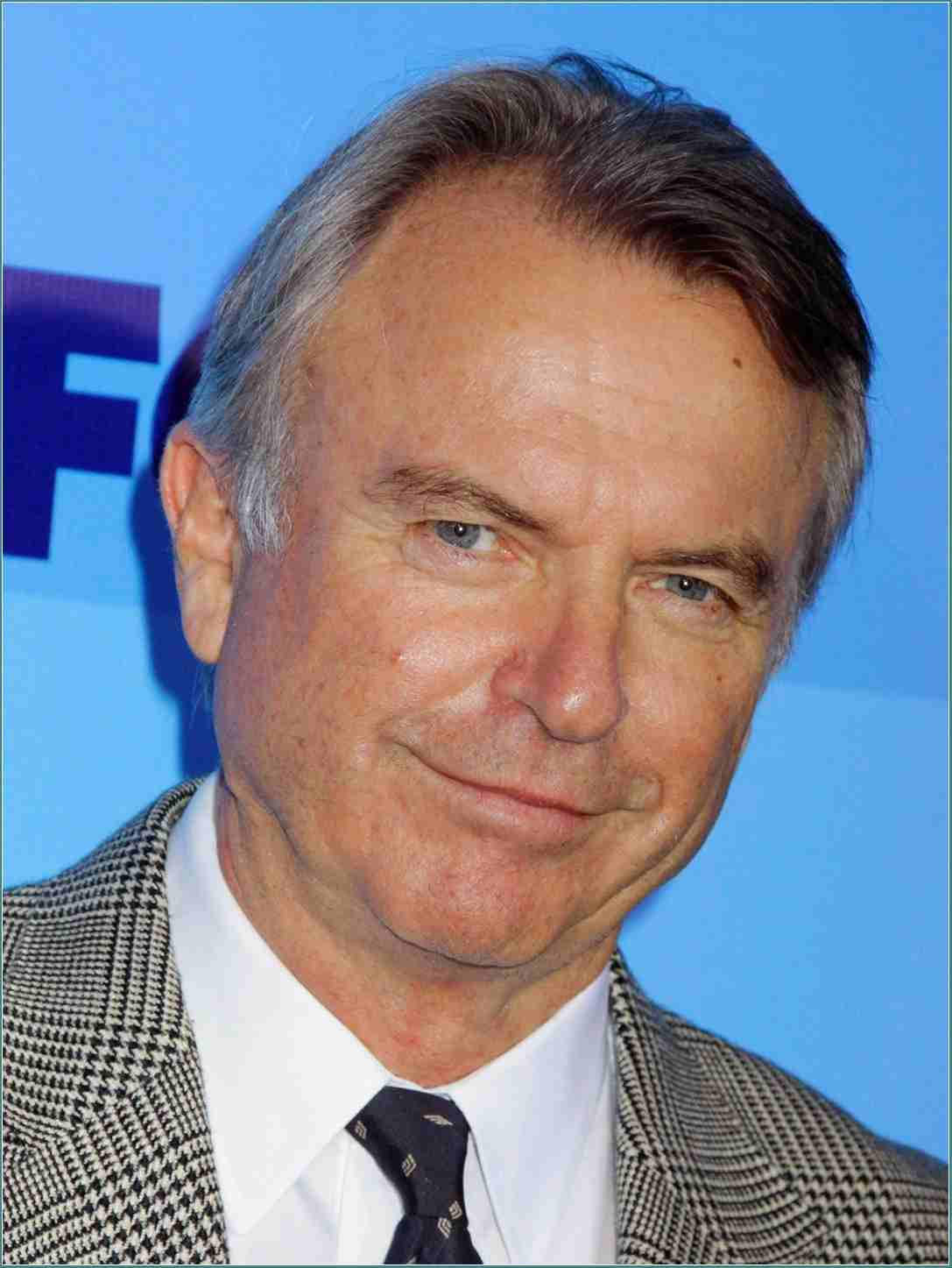 Celebrity 桌布 壁紙 — 特寫肖像，一位灰髮中年男子穿著千鳥格西裝和領帶，背景為藍色。