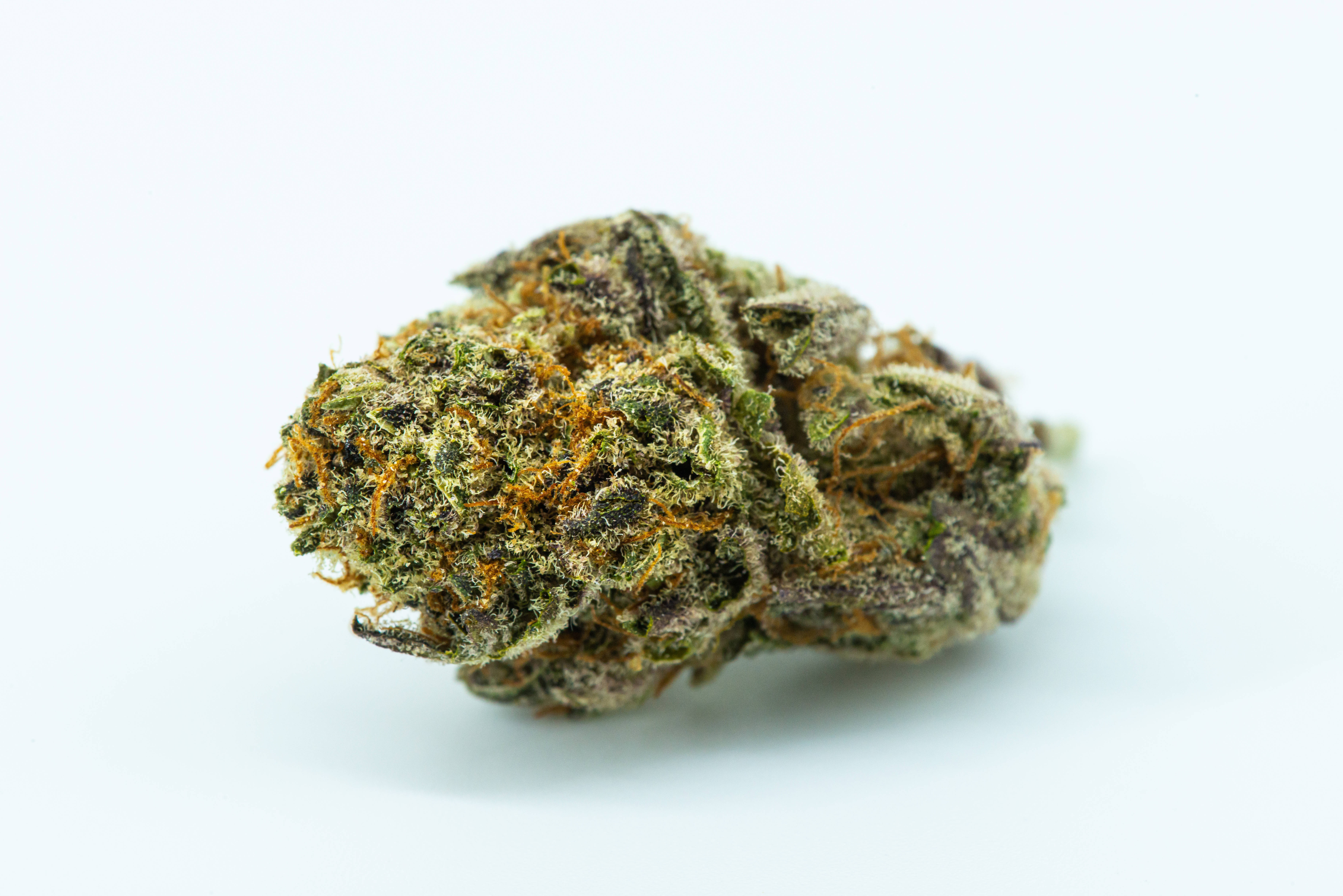 大麻 桌布 壁紙 — 特寫鏡頭：一個密集的大麻花蕾，帶有綠色和橙色的雌蕊，背景為純白色。