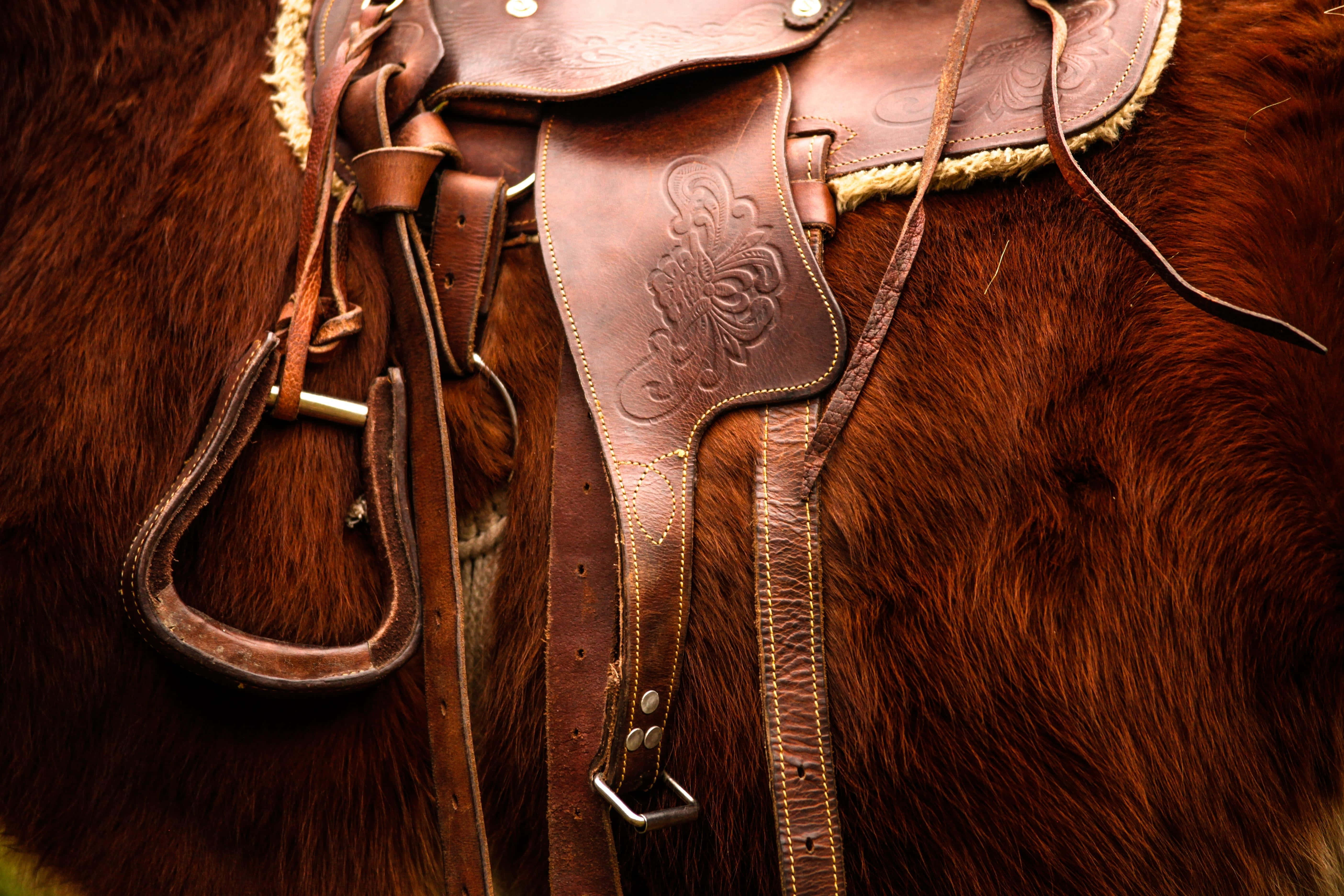 Saddle 桌布 壁紙 — 特寫鏡頭：一個細節豐富的棕色皮革西部馬鞍，帶有華麗縫線，擱在一匹濃郁栗色馬的背上。