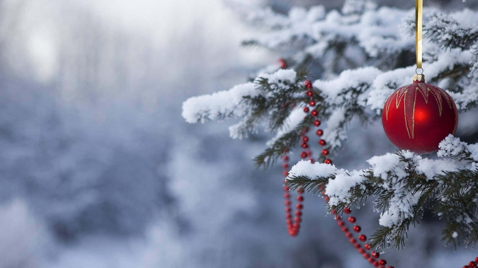 Decorations 桌布 壁紙 — 特寫鏡頭：一條沾滿雪花的松樹枝，掛著閃亮的紅色裝飾球和紅色珠串，背景是柔和的雪景。