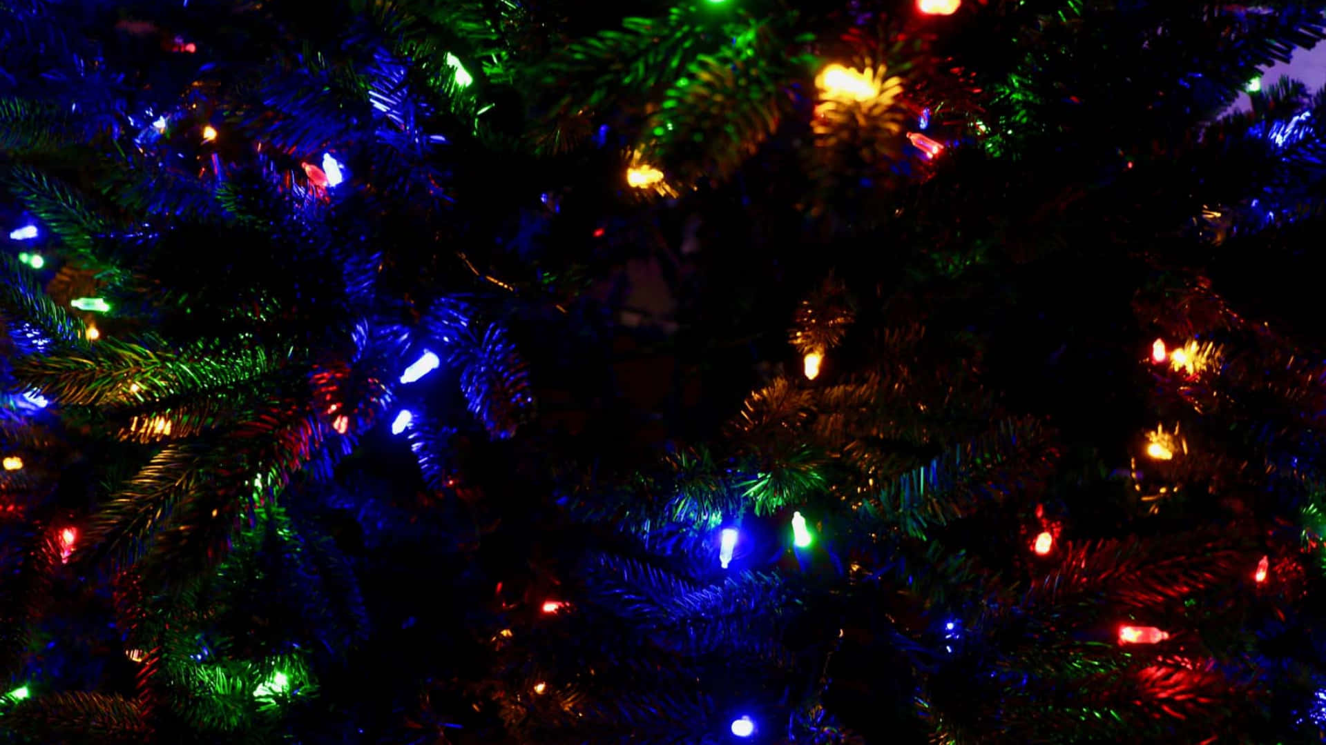 Teams Christmas 桌布 壁紙 — 特寫鏡頭：一棵聖誕樹，深綠色針葉上點綴著閃爍的多彩燈飾。