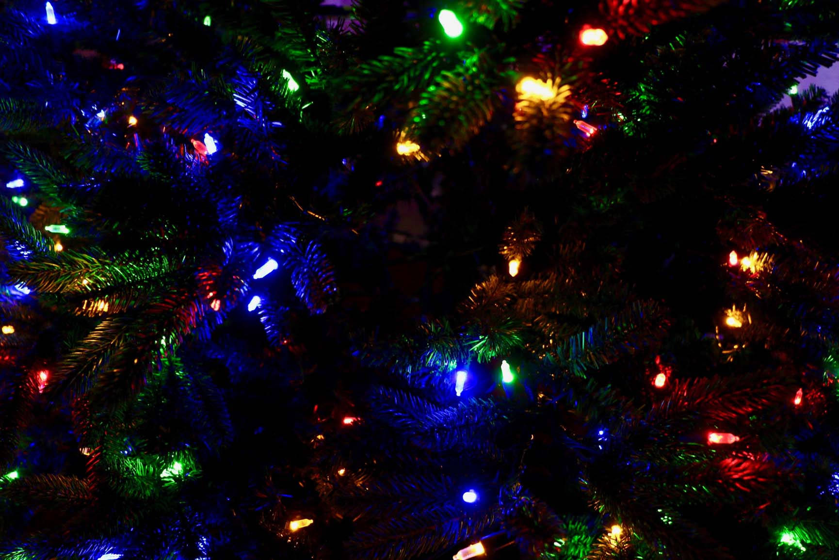 Preppy Christmas 桌布 壁紙 — 特寫鏡頭：一棵聖誕樹，點綴著閃爍的多彩燈光，襯托著深綠色的針葉。