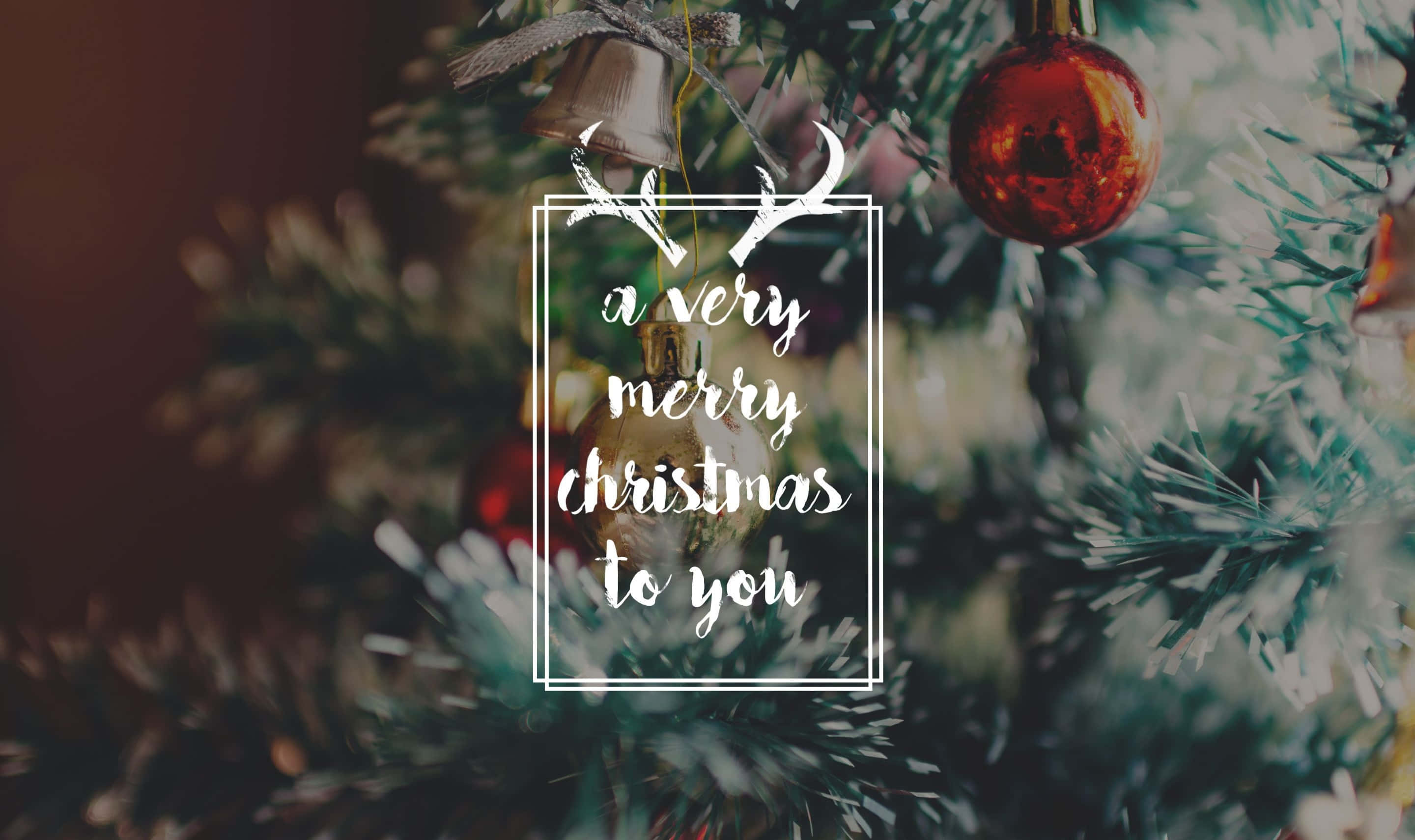 Tumblr Christmas 桌布 壁紙 — 特寫鏡頭：一棵裝飾著紅色飾物和白色框架節日訊息的聖誕樹。
