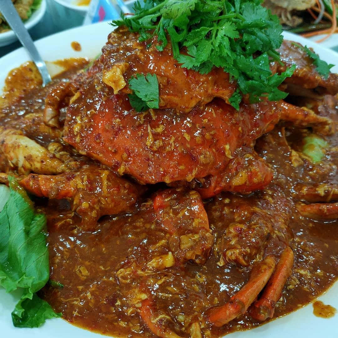 螃蟹 桌布 壁紙 — 特寫鏡頭：一碟香料豐富的蟹肉菜餚，上面放上新鮮香菜，盛載於白色碟上。