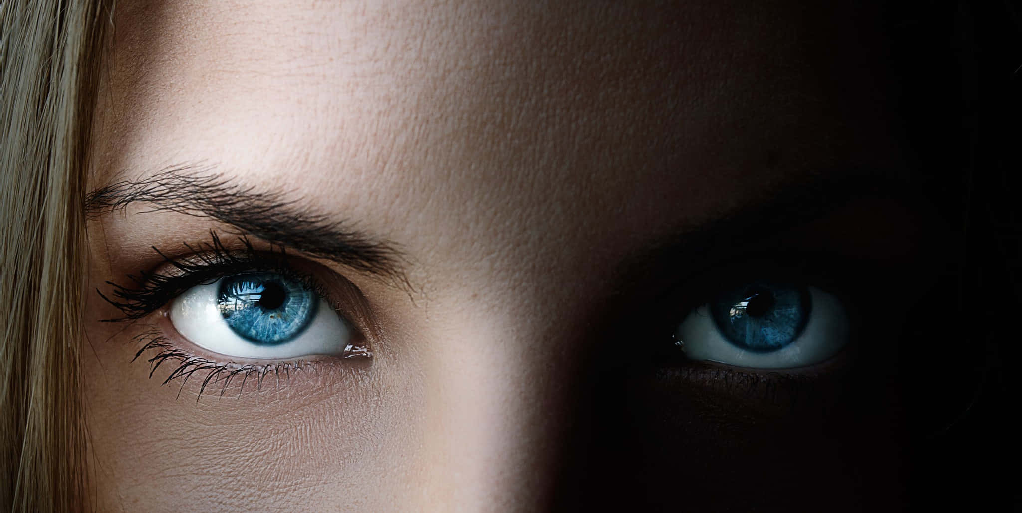 blue eyes 桌布 壁紙 — 特寫鏡頭：一雙強烈的藍眼睛在黑暗背景下以戲劇性燈光向前凝視。