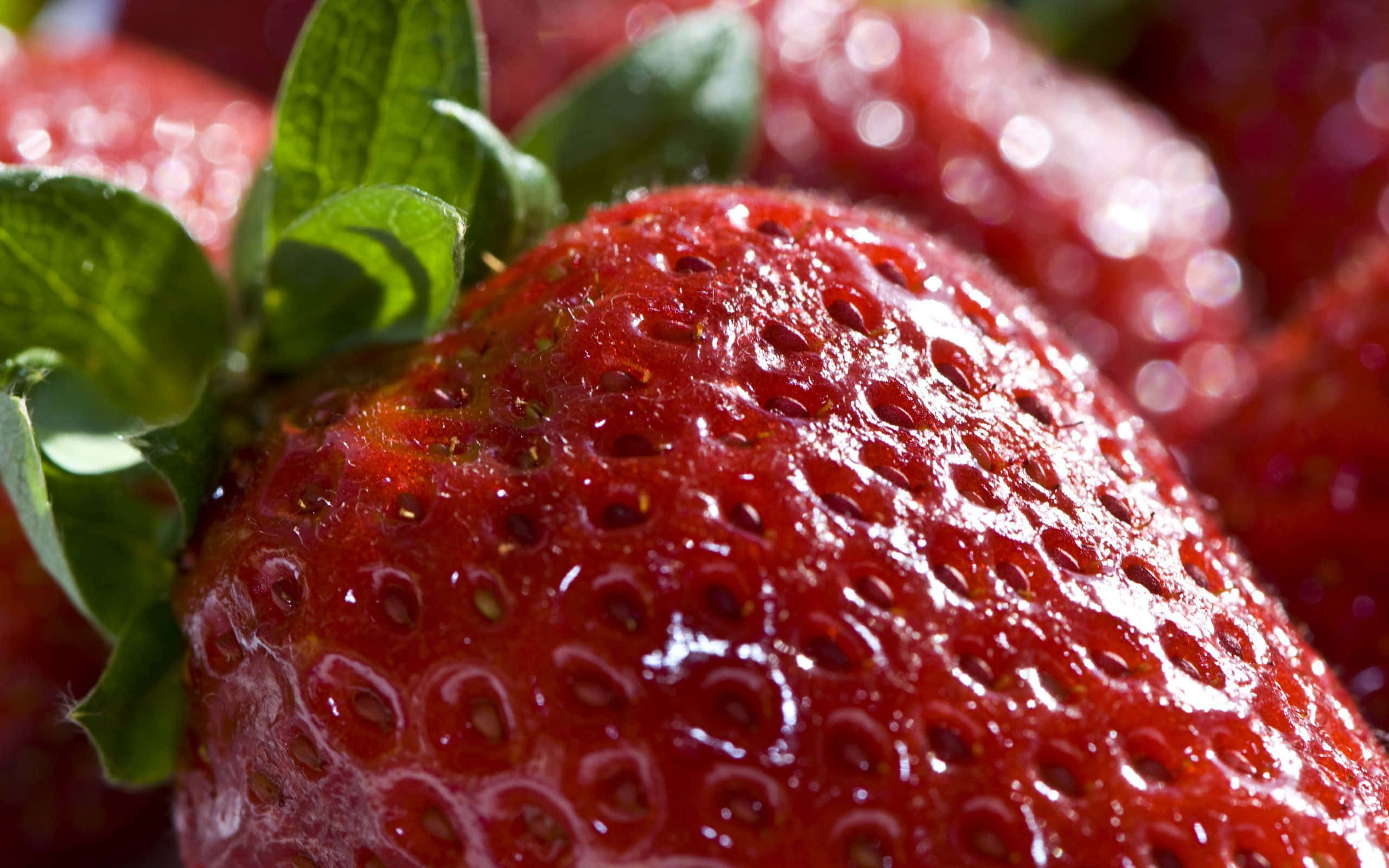 Red Strawberry 桌布 壁紙 — 特寫鏡頭：一顆閃閃發光的紅色草莓，帶有綠色葉子，在明亮的陽光下。