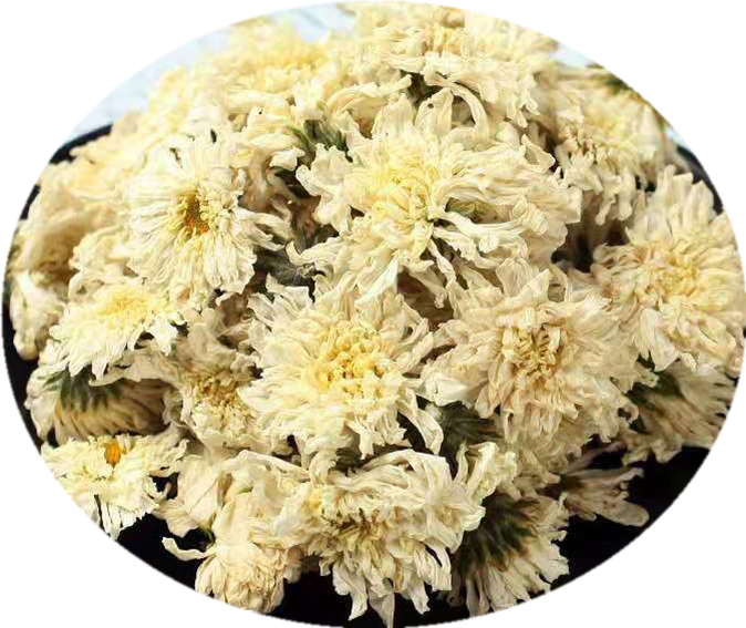 菊花 桌布 壁紙 — 特寫鏡頭：乾燥的淡黃色菊花高高堆疊在黑色碗中，背景為淺藍色紋理。