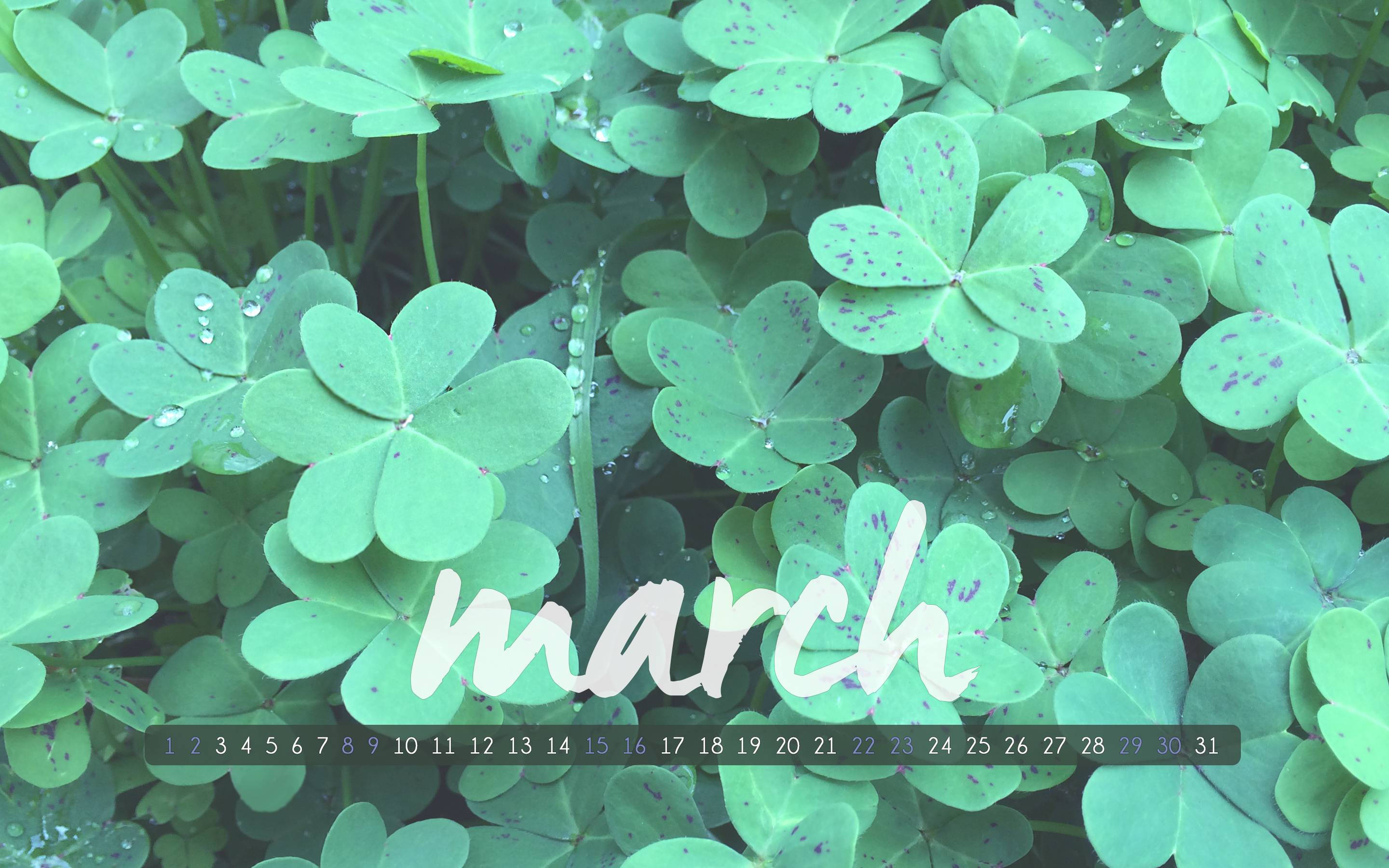 March 桌布 壁紙 — 特寫鏡頭：充滿活力的綠色三葉草葉片，帶有露珠，並在日曆網格上以白色草書寫有march一詞。