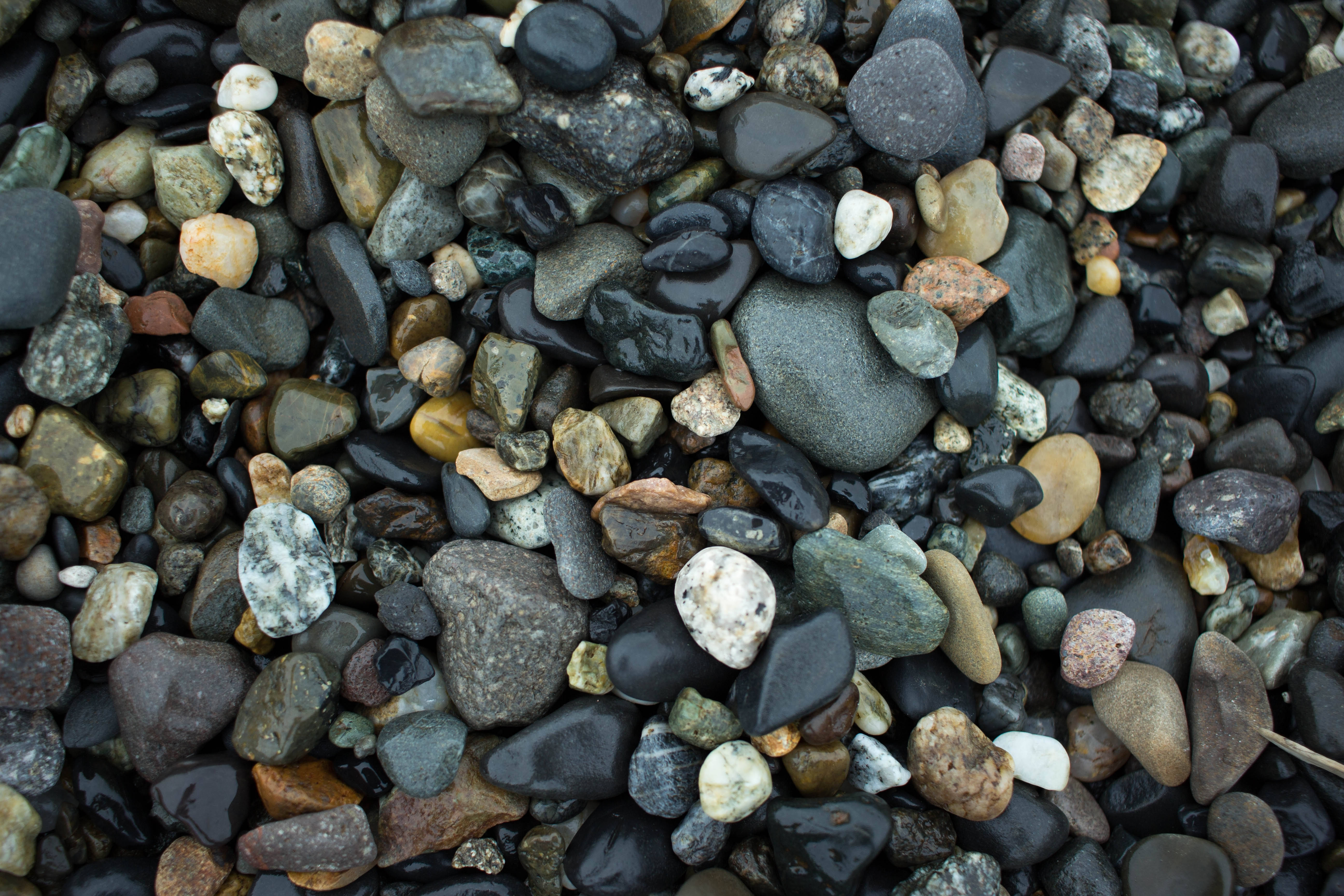 Stone 桌布 壁紙 — 特寫鏡頭：光滑濕潤的鵝卵石，呈現多種大地色調，散落在沙灘表面。