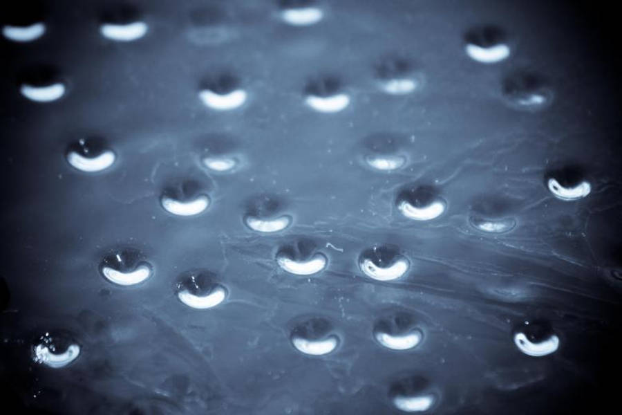 Droplets 桌布 壁紙 — 特寫鏡頭：在冷藍色燈光下，帶紋理的深色表面上閃閃發光的水滴。