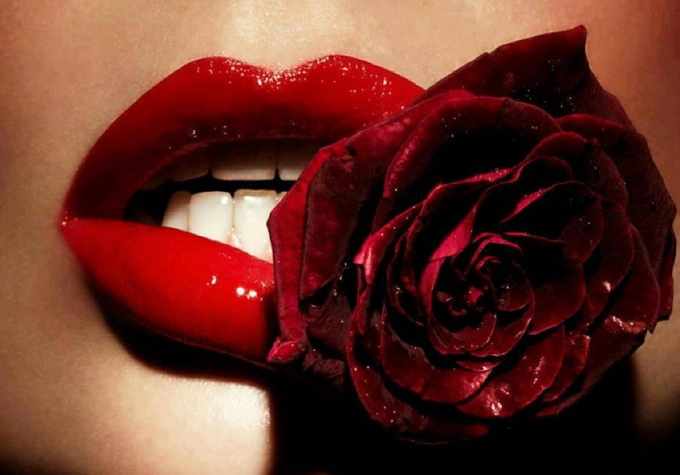 red lips 桌布 壁紙 — 特寫鏡頭：在戲劇性燈光下，光澤紅唇含著深紅玫瑰，襯托柔軟肌膚。